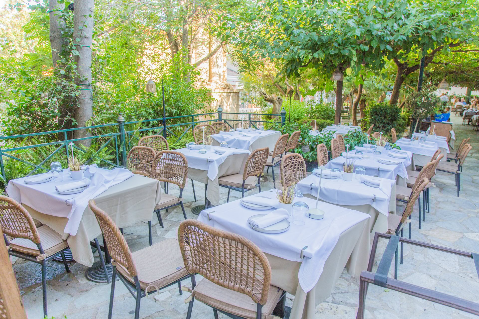 Cosy restaurant with mulberry trees at Plaka, Athens