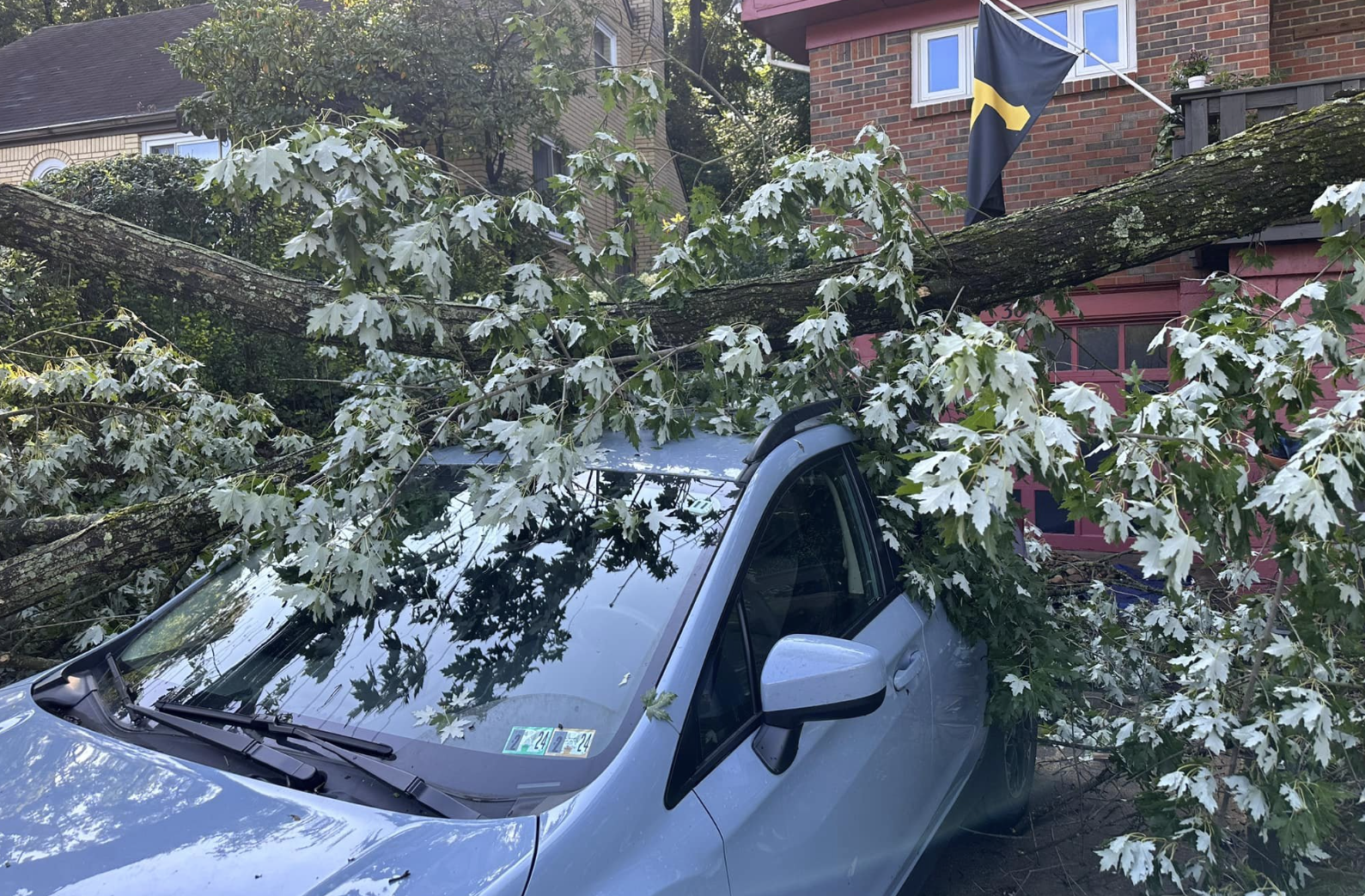 Emergency tree services