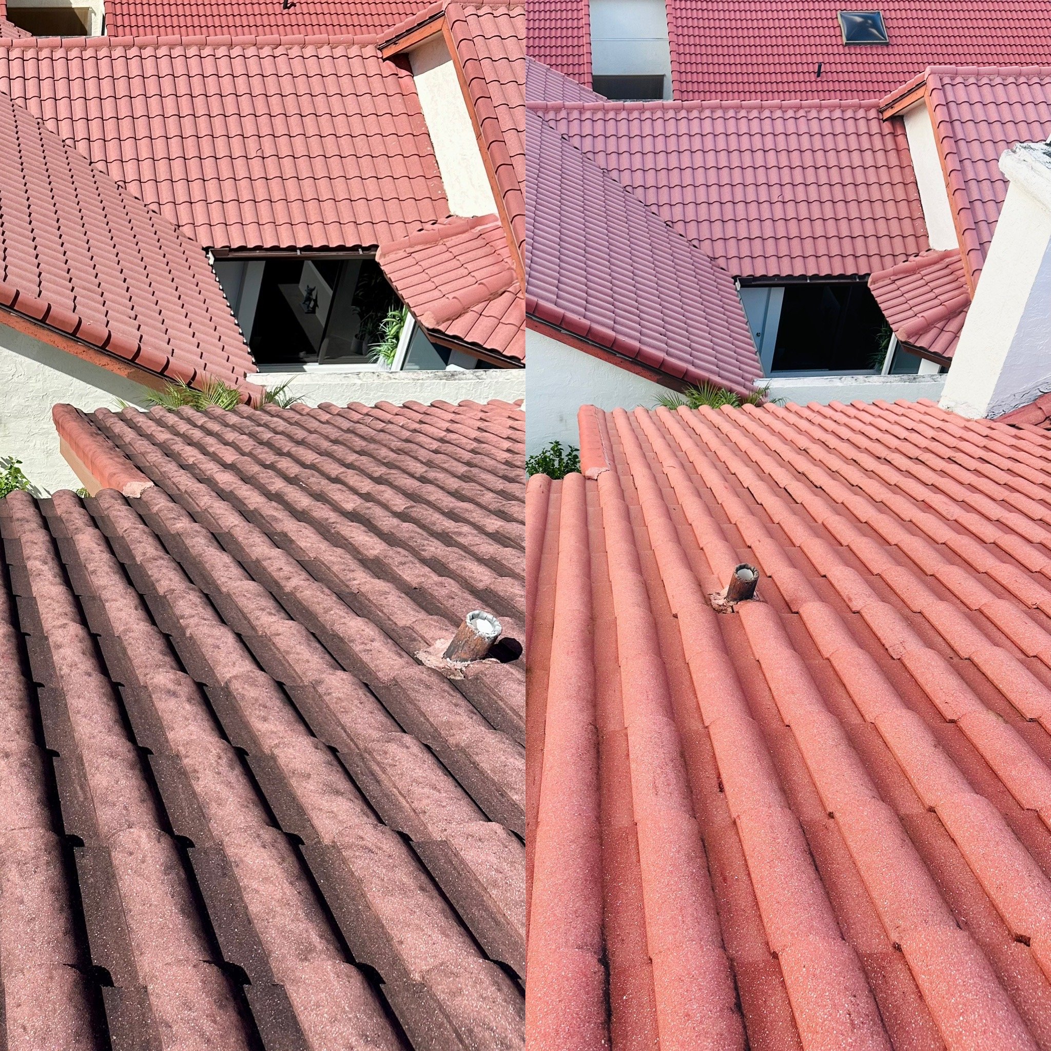 Professional roof cleaning result
