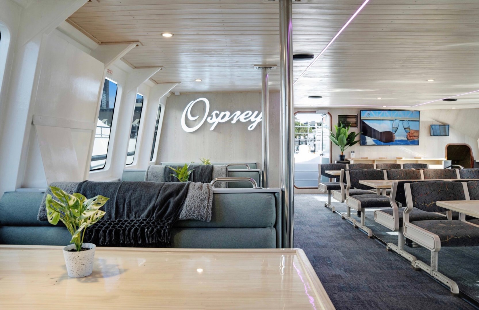 Osprey yacht charter experience