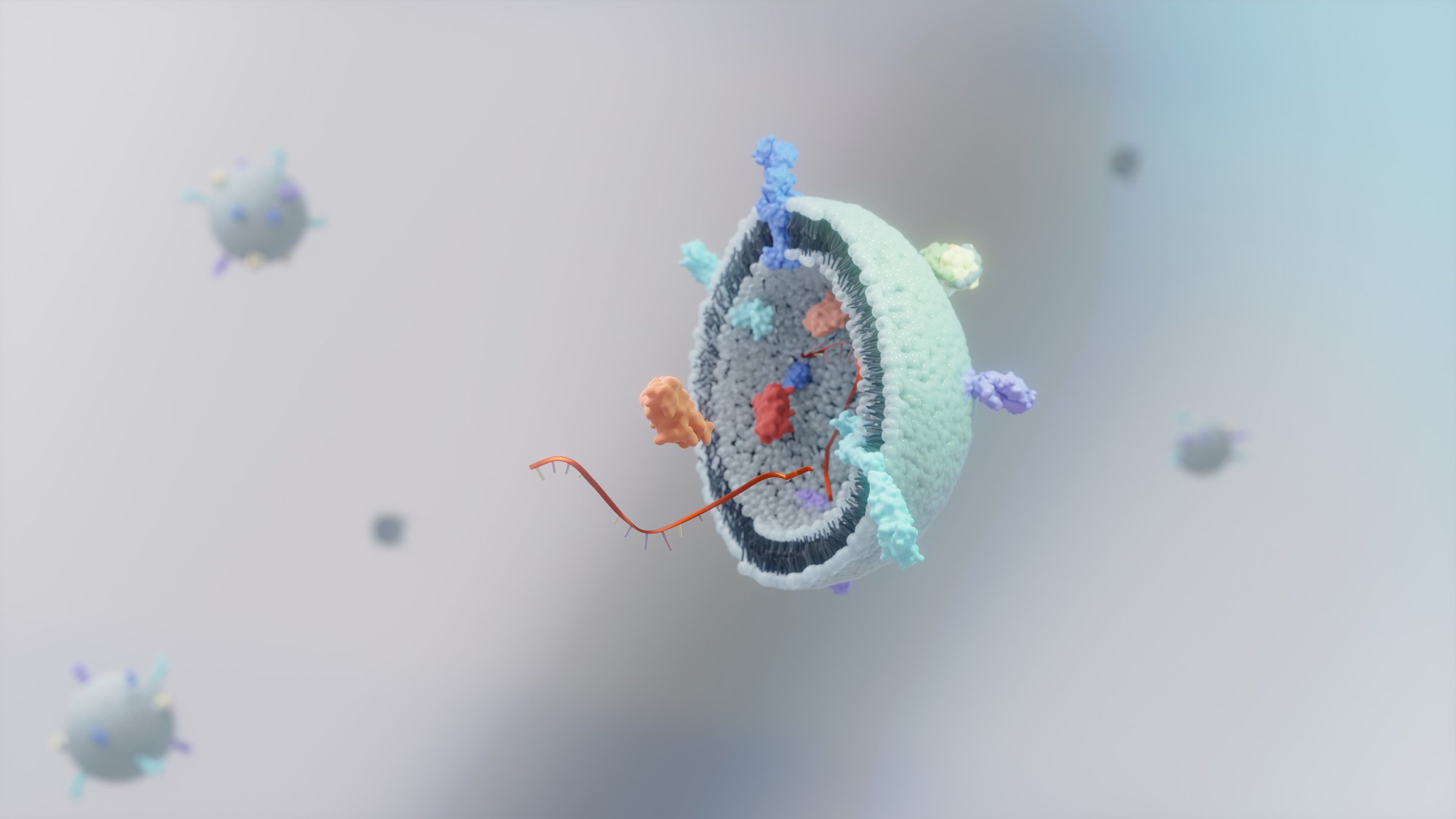 Extracellular vesicles (EVs) are small, membrane-bound particles released by cells into the extracellular environment. They contain various biomolecules, including proteins, nucleic acids, and lipids, and play crucial roles in intercellular communication. EVs are involved in diverse physiological processes, such as immune response regulation, tissue repair, and cell signaling. They are also emerging as potential biomarkers for various diseases, including cancer, neurodegenerative disorders, and cardiovascular diseases.