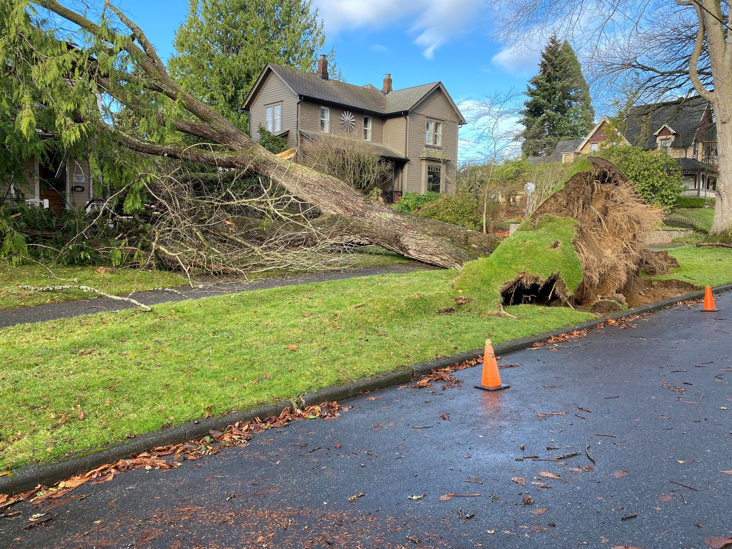 Tree fell on the Historic Burton House, 410 Avenue B, Snohomish