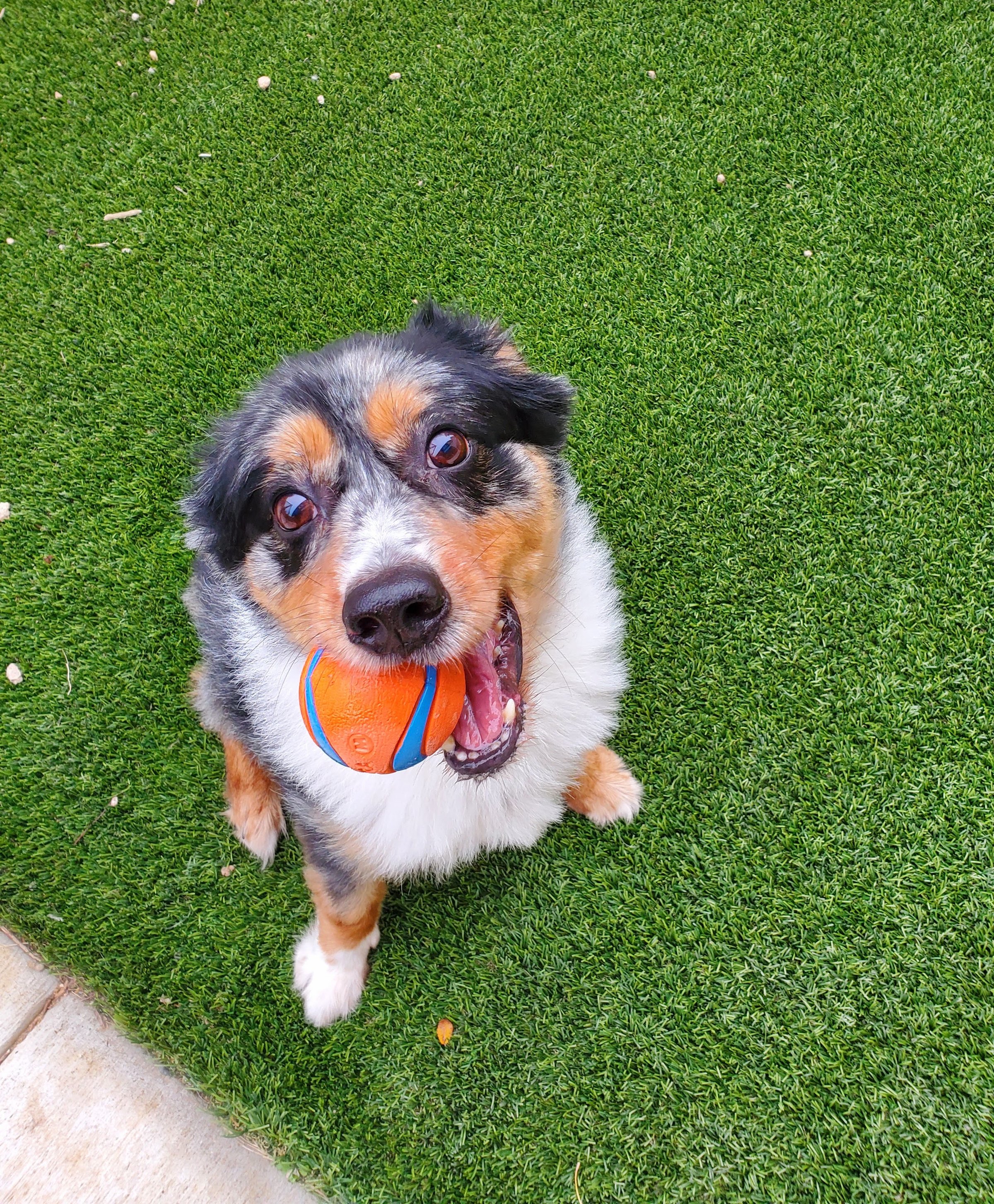 Daily Visits Service