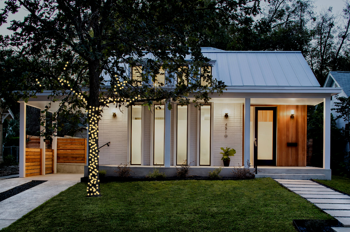 Medium tree canopy Christmas lighting mockup