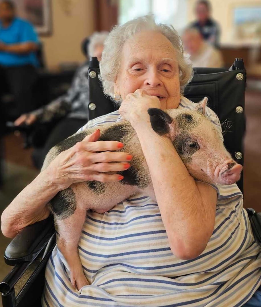 Senior visit with animals