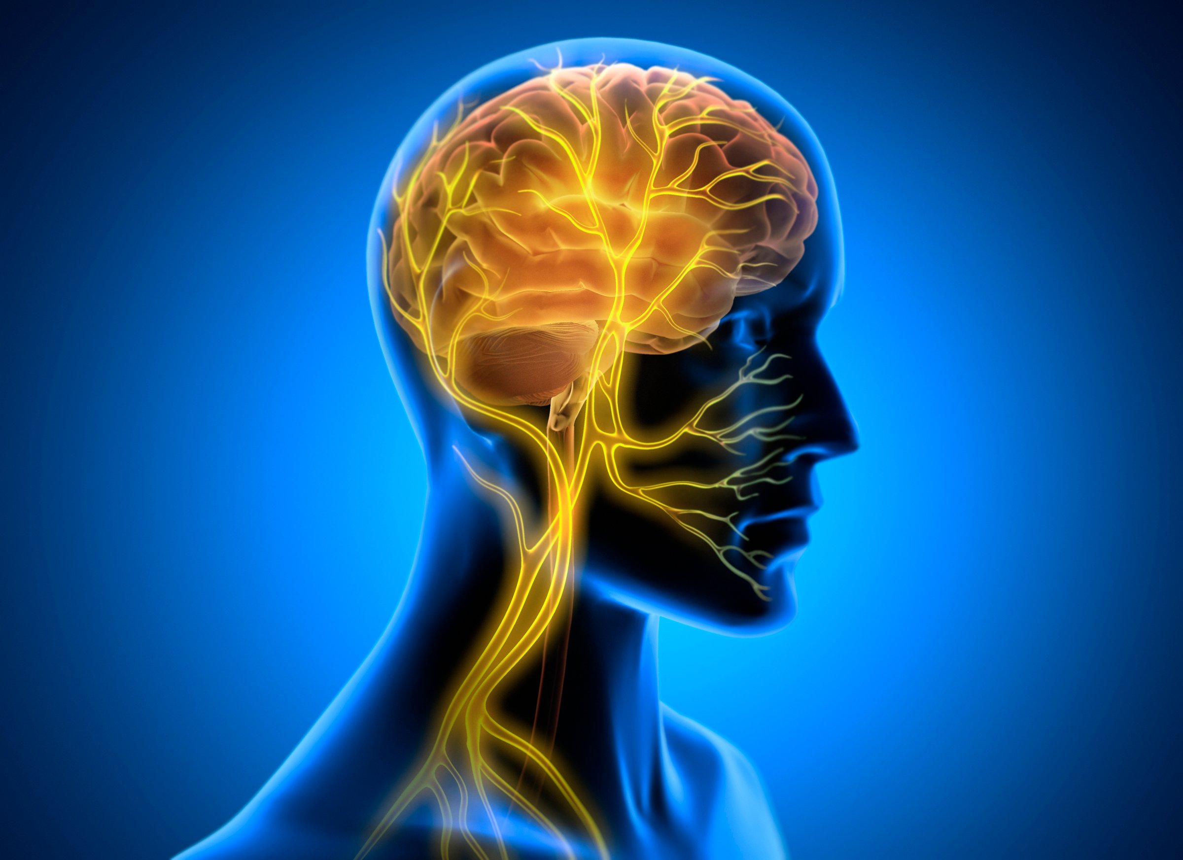 X Ray style 3D rendering  of Vagus Nerve Stimulation with glowing nerve fibers - 3D illustration