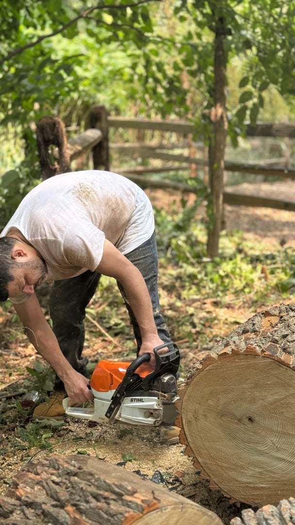 GRS Tree Service work