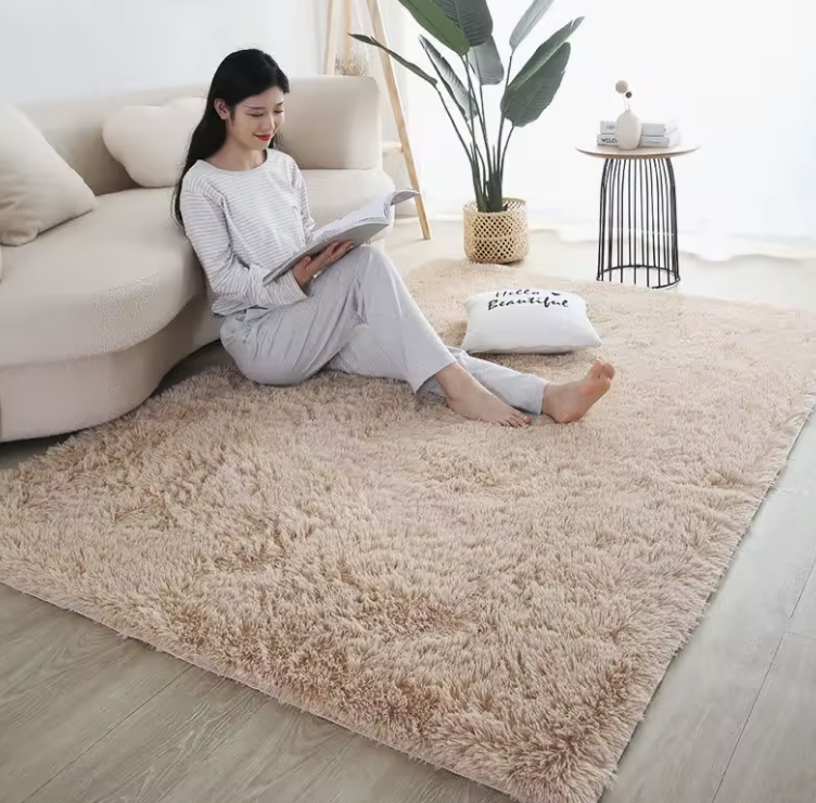 Furry Carpet Living Room
