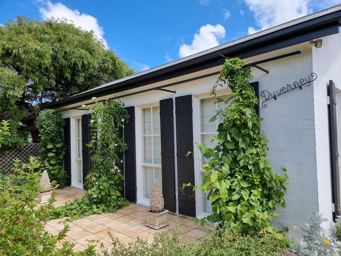 Estate exterior after Quality Painting Group transformation showing premium finish with enhanced architectural beauty