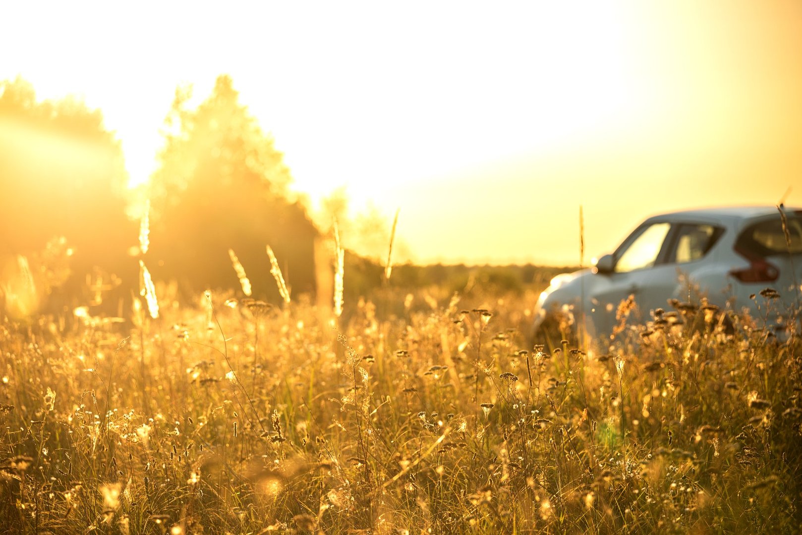 Car in a golden field at sunset with warm sunlight shining through grass. Concept of travel, roadtrip, freedom, countryside lifestyle, and adventure.