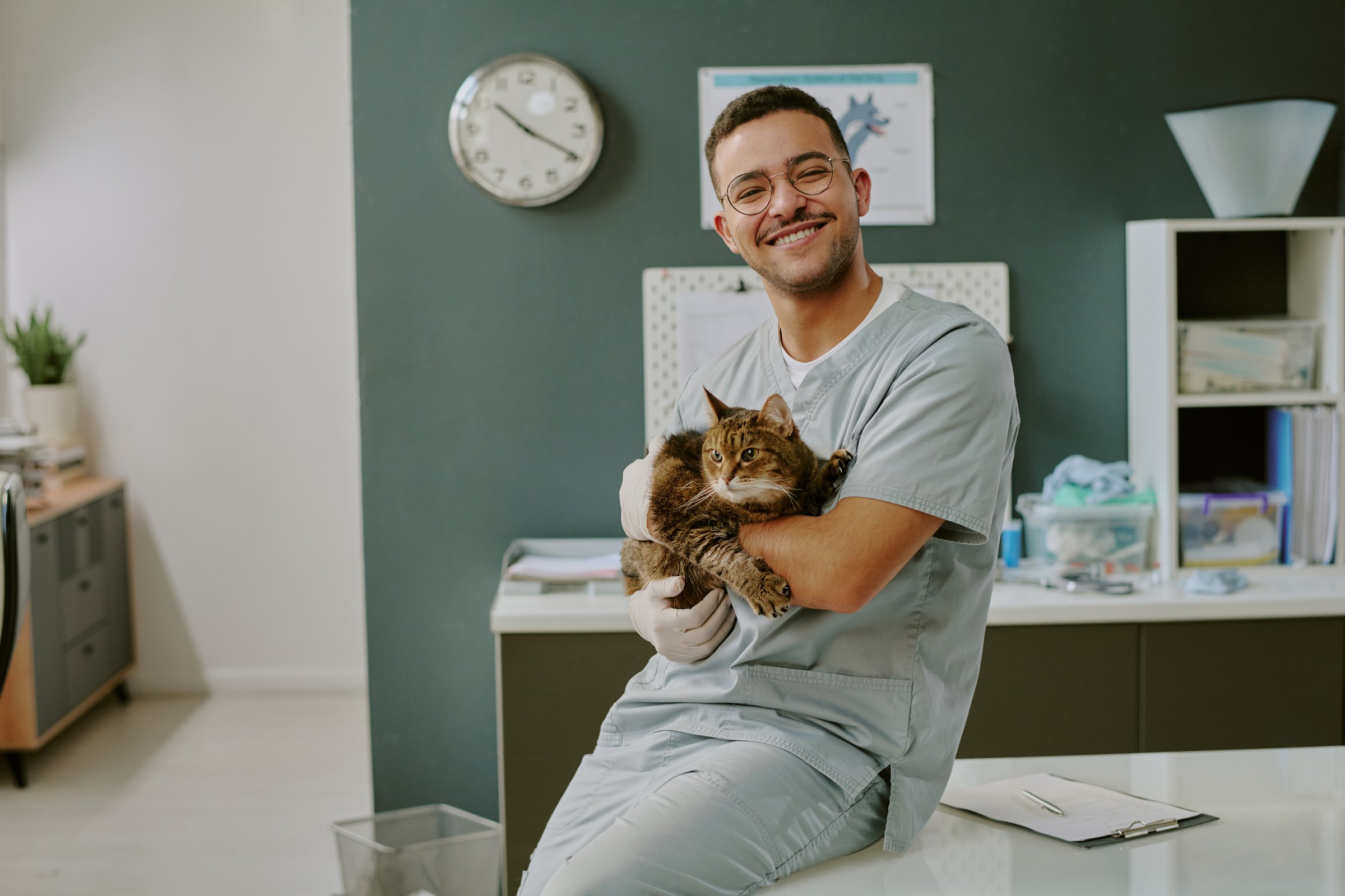Man smiling while holding a cat, sitting on examination table in veterinary office. Equipment and supplies visible in background, suggesting a clinical environment