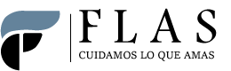 Logo with a stylized blue leaf and the word Corvus in black font.