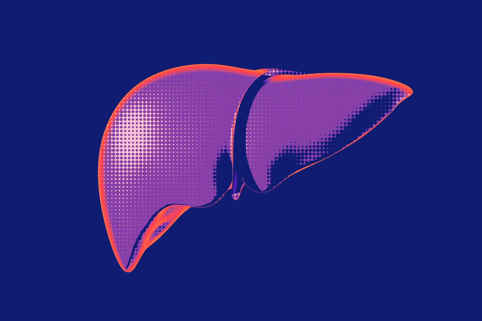 A pop art rendition of a human liver, showcased in vibrant hues of purple and orange against a deep blue backdrop. The stippled texture adds a playful touch to this vital organ, 3d render