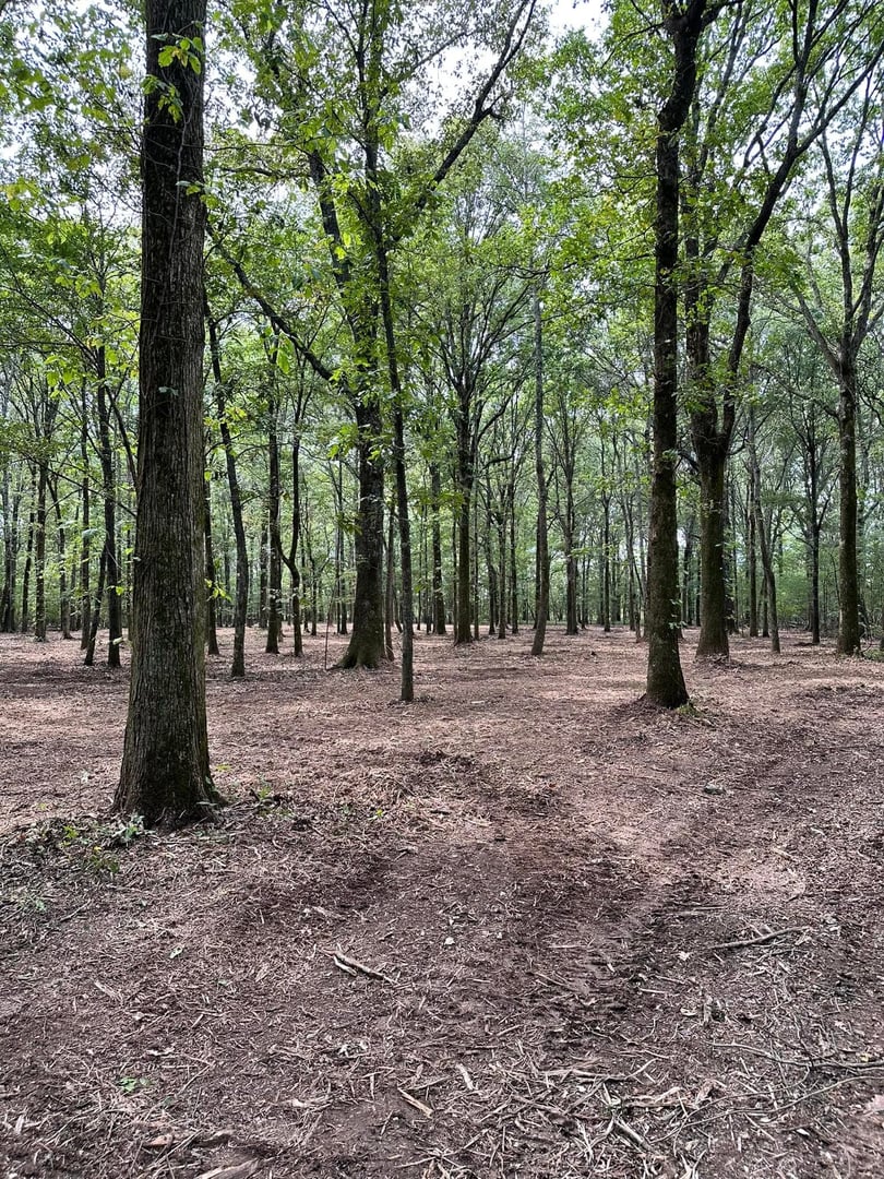 Site preparation and dirt work project