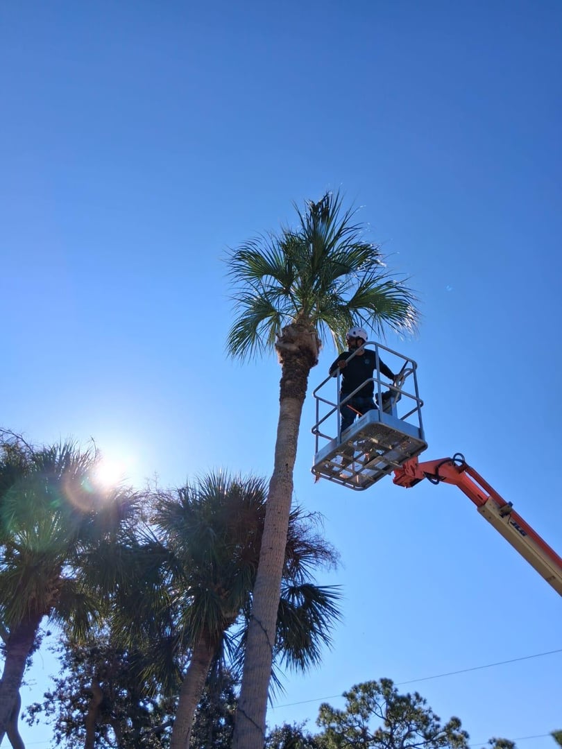 Torres Property Services team performing lawn maintenance