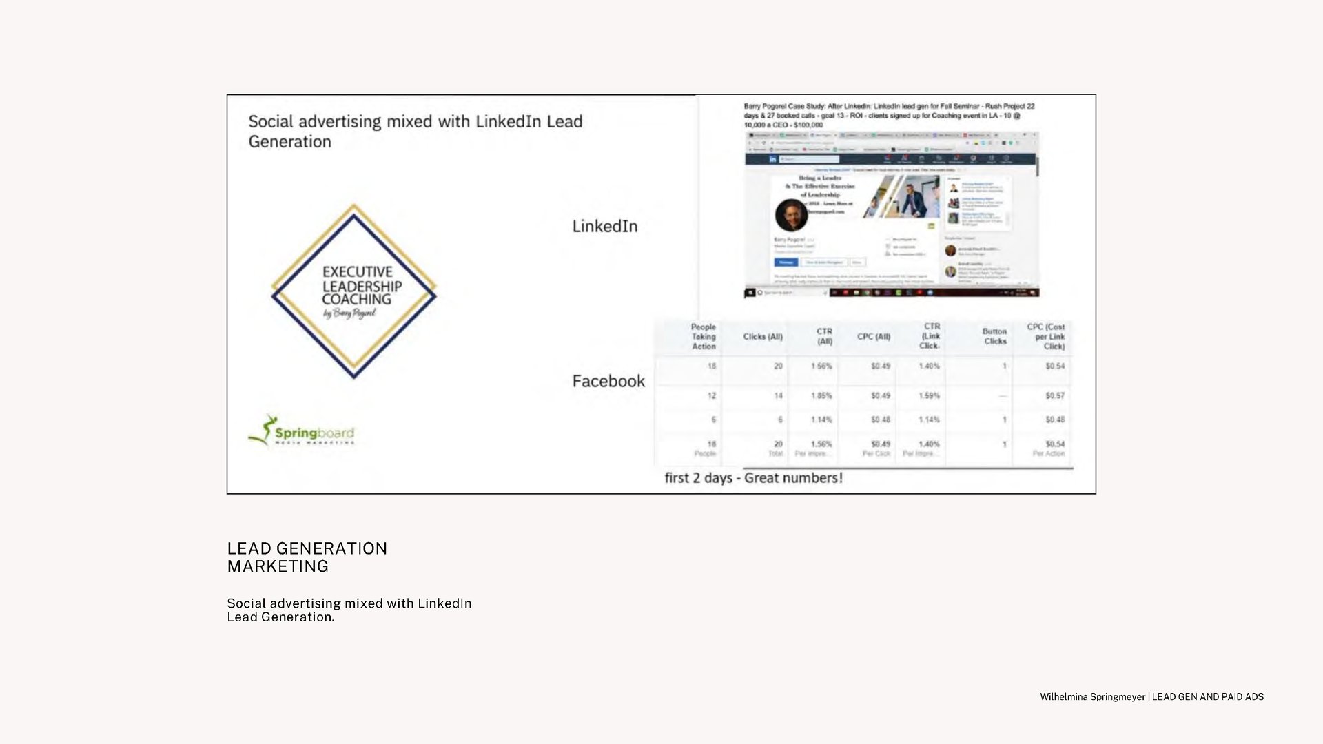Wilhelmina Springmeyer - Paid Ads and Lead Gen Portfolio