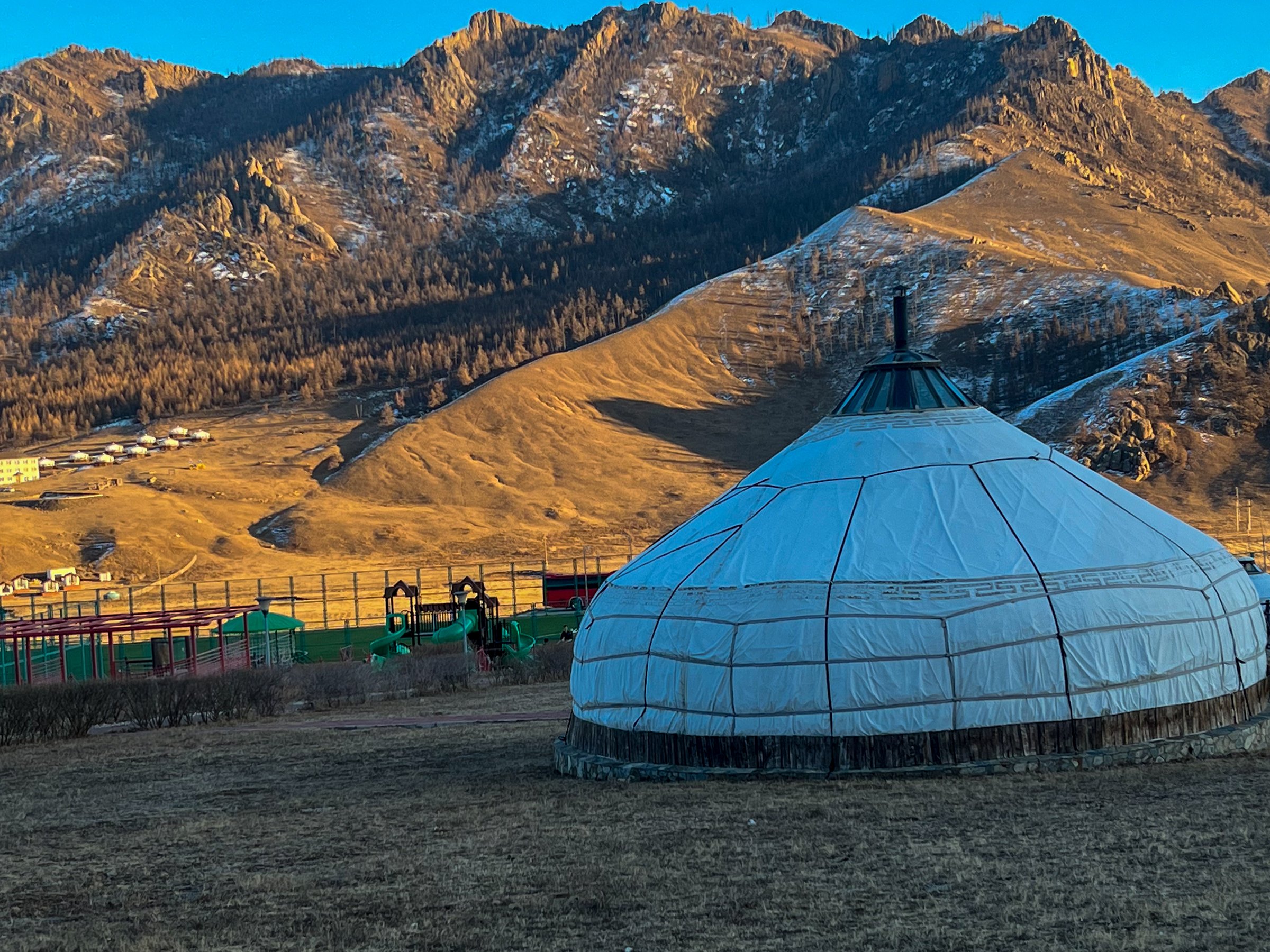 White ger at the mountains