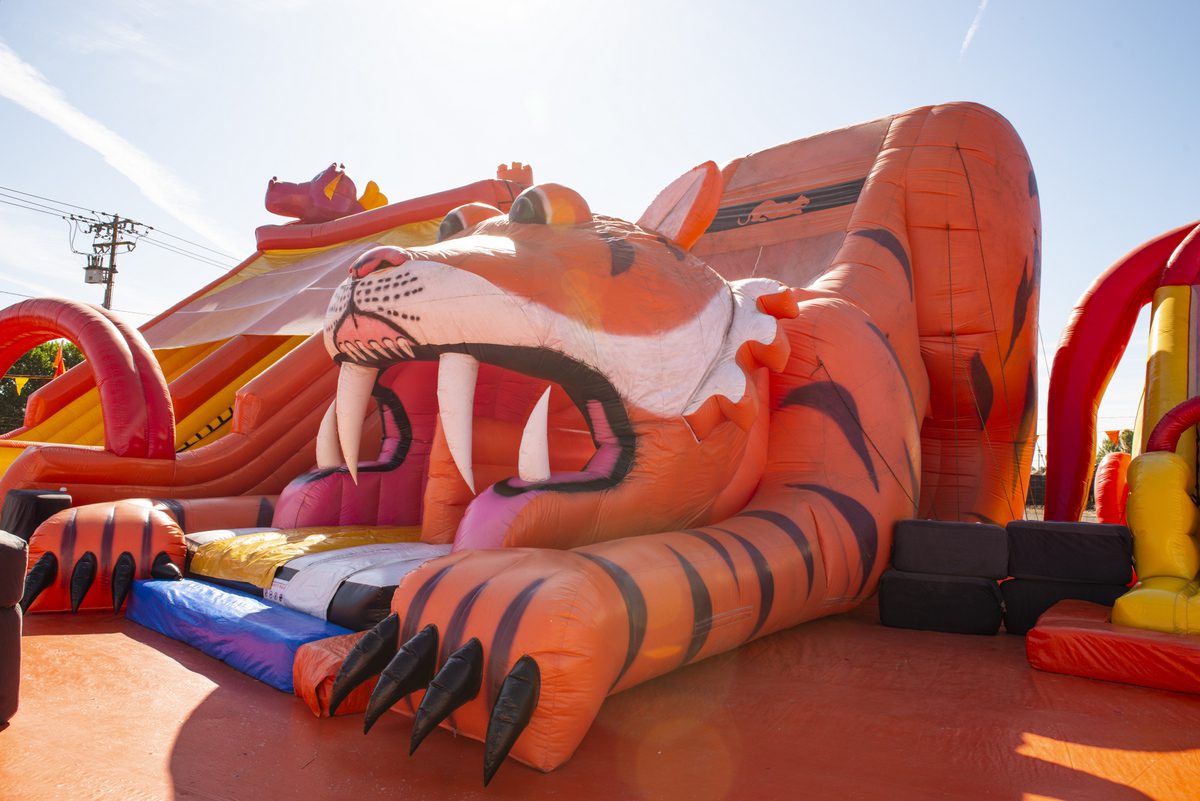 Festival celebration moment