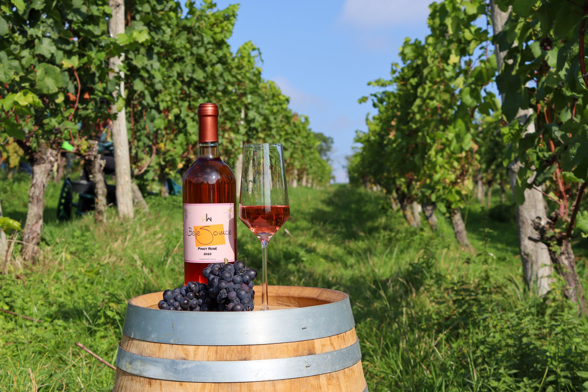 Belle Source Contact Background