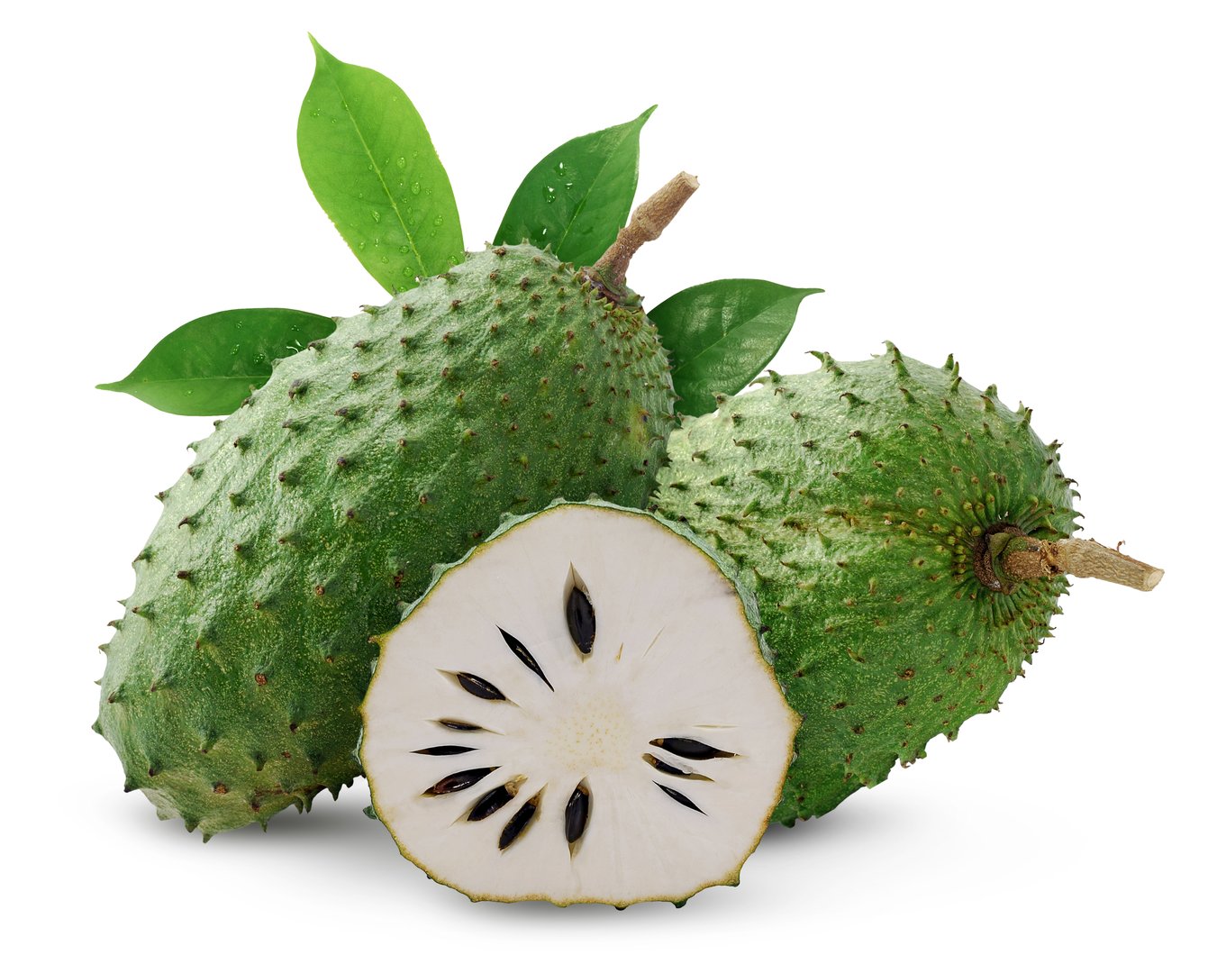 Soursop or custard apple fruit isolated on white background