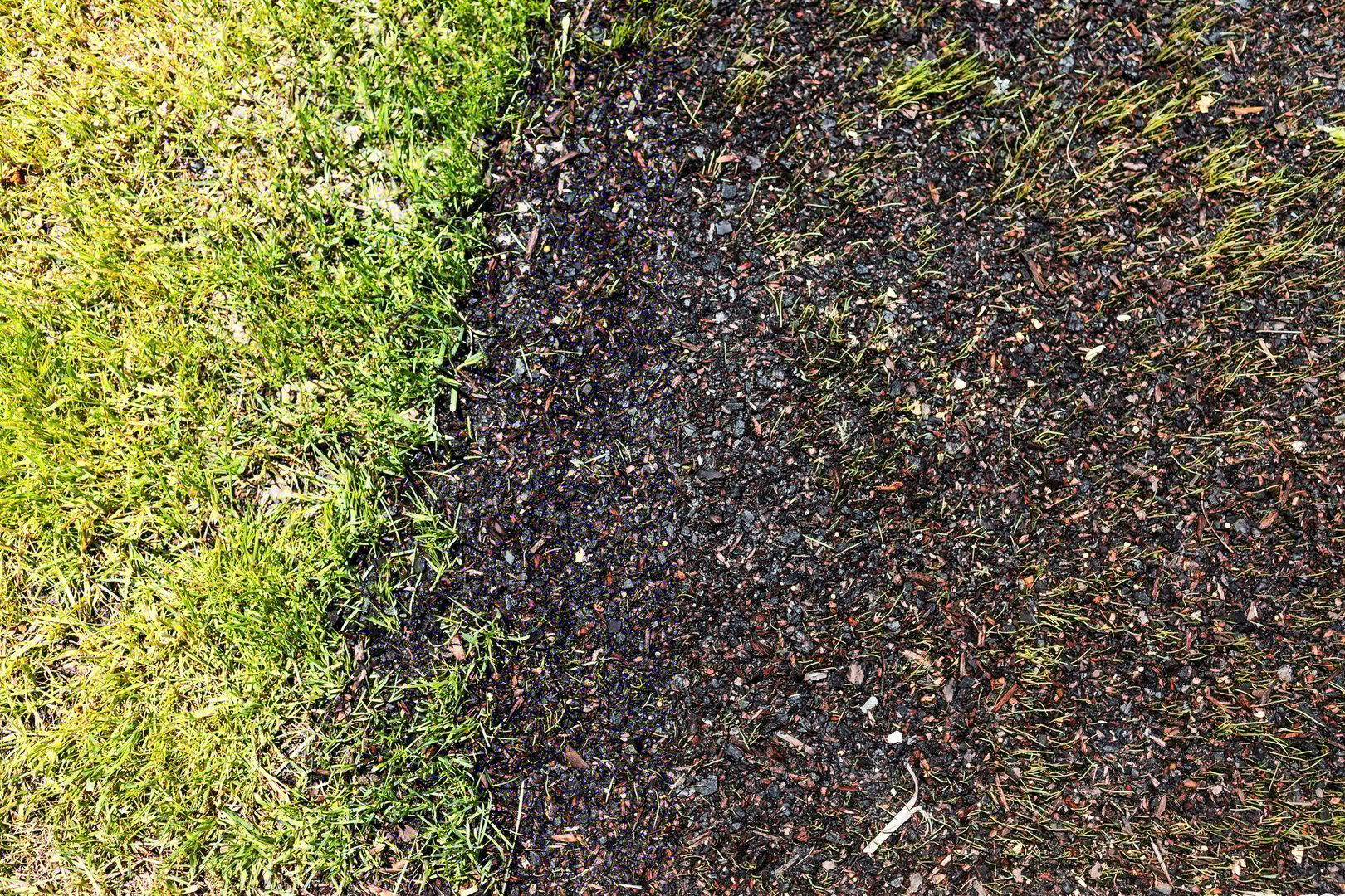 Before and after lawn transformation