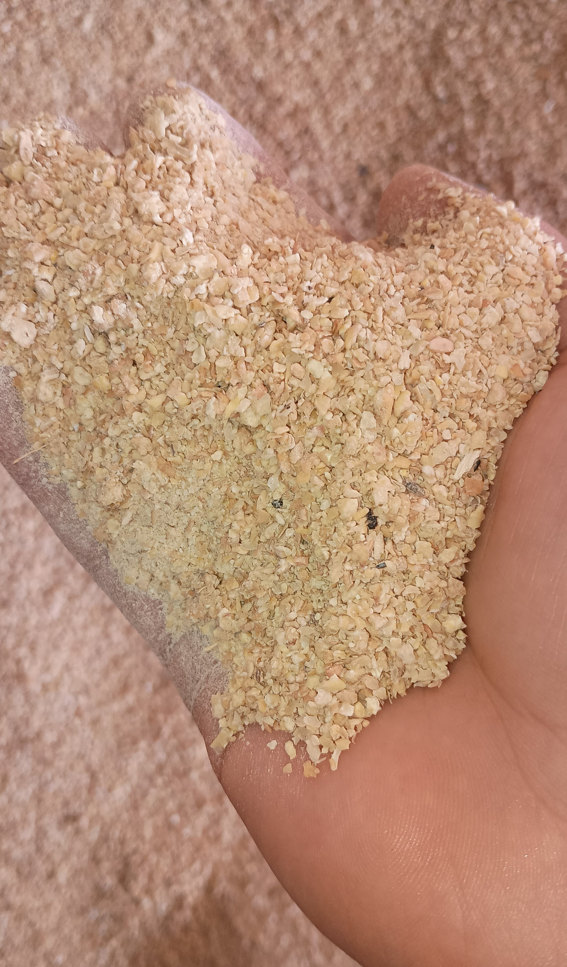 Pasta de soya de alta calidad con contenido proteico premium