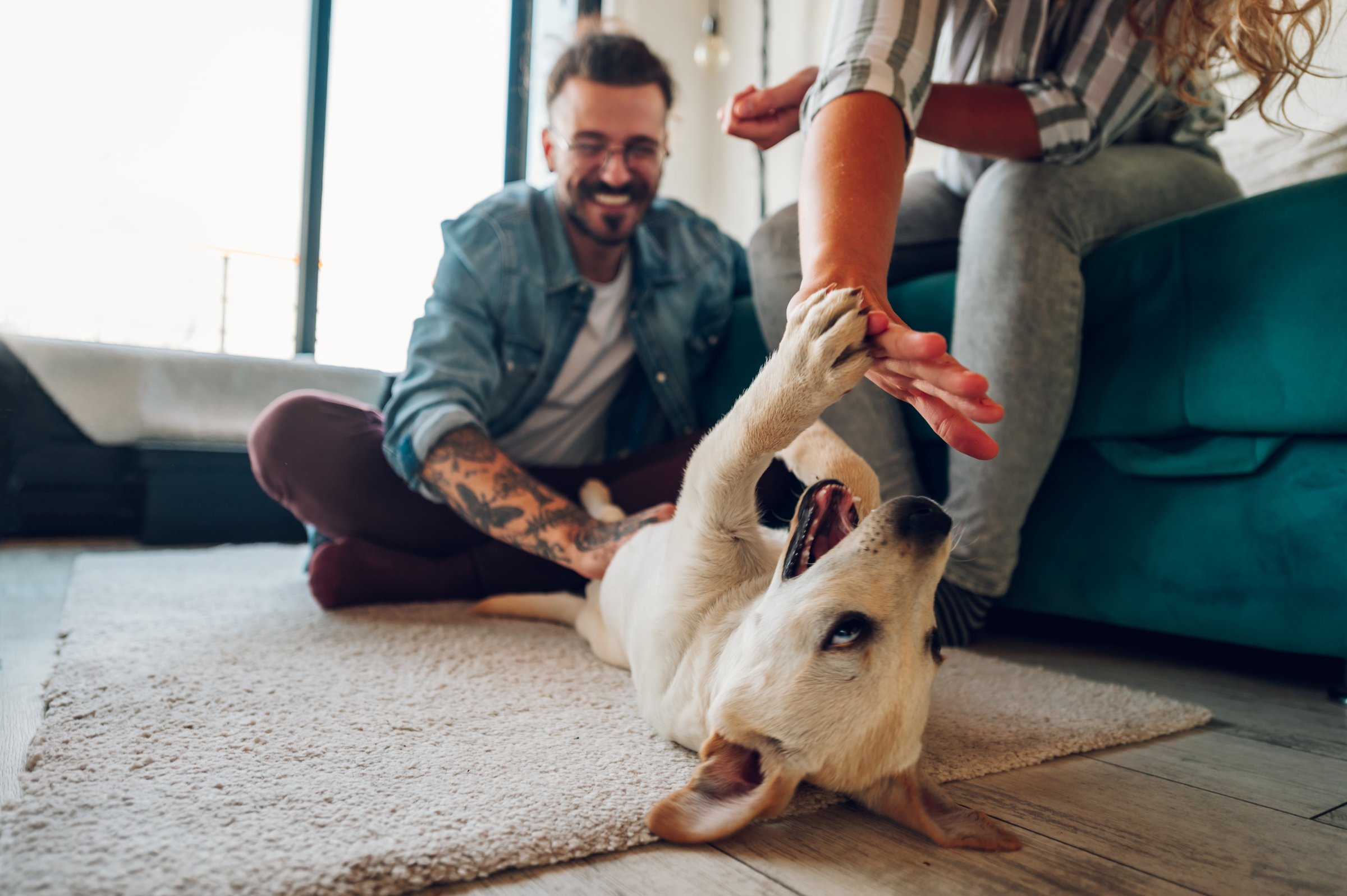 Personas jugando felizmente con su perro al aire libre