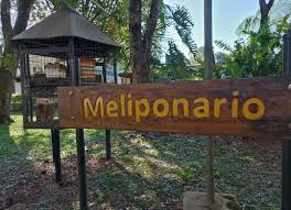 Educación sobre abejas meliponas