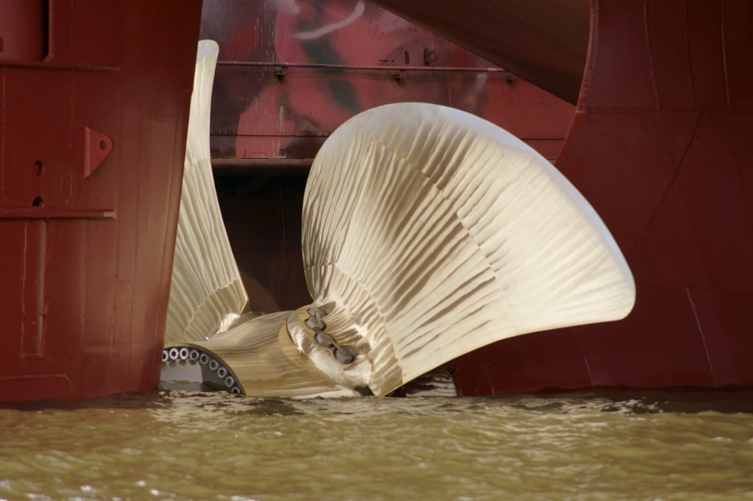 The photograph of a polished propeller on a ship in the water.