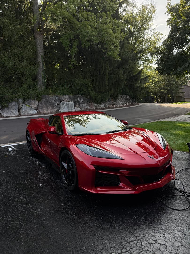 Professional polishing and exterior detailing