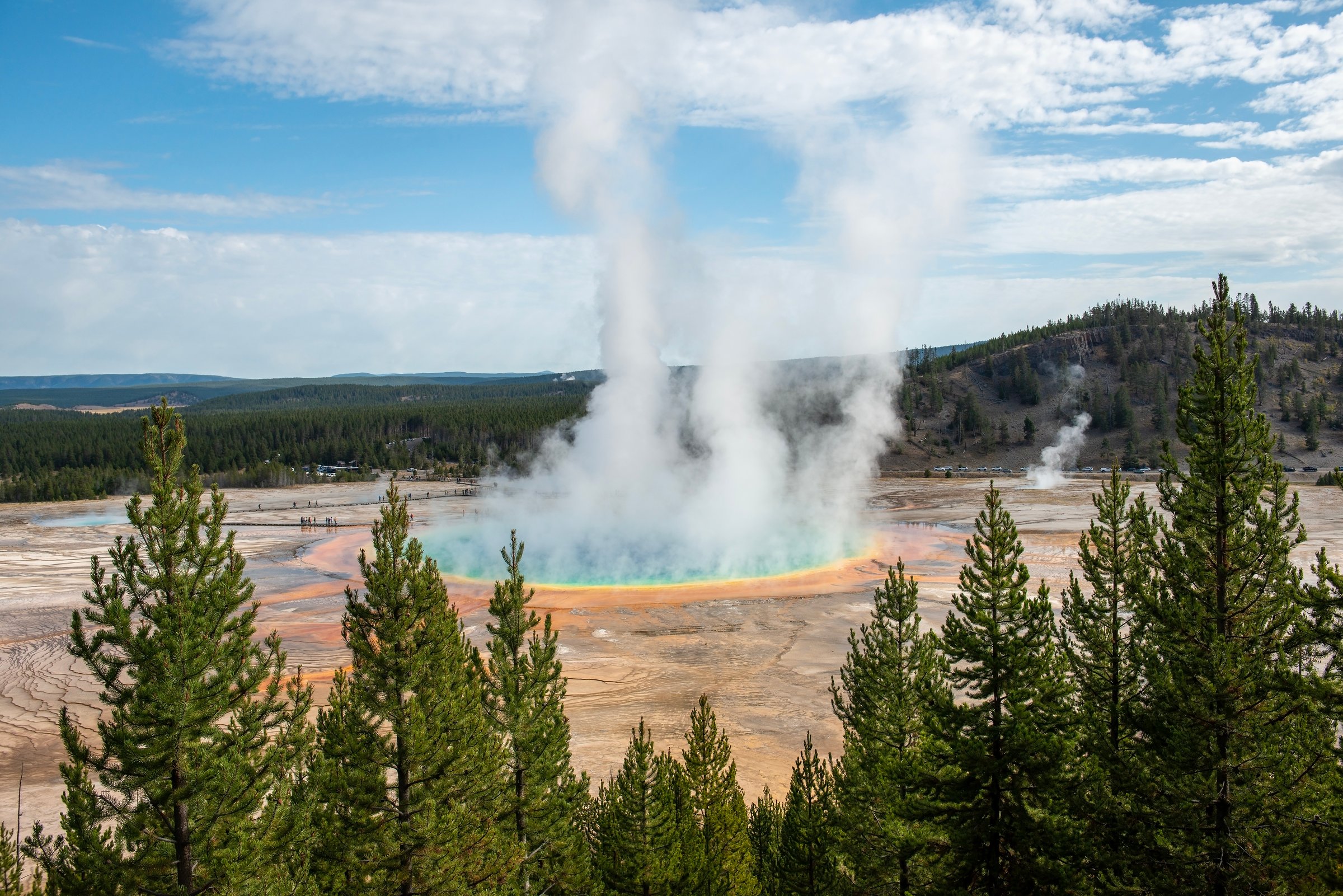 magnificent wild landscape in the Yellowstone National Park, Norris Geyser Basin, Wyoming, United states of America