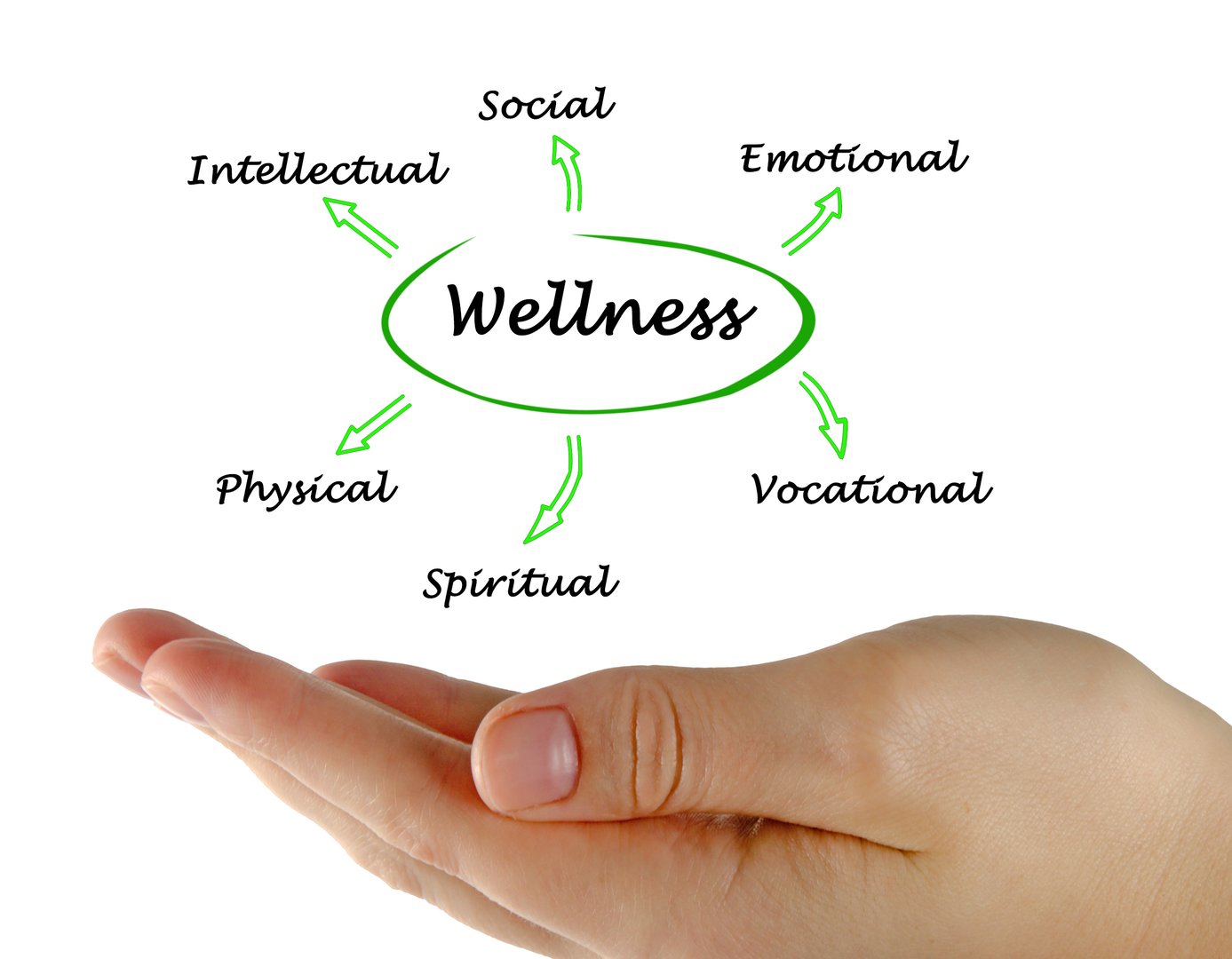 Diagram of wellness