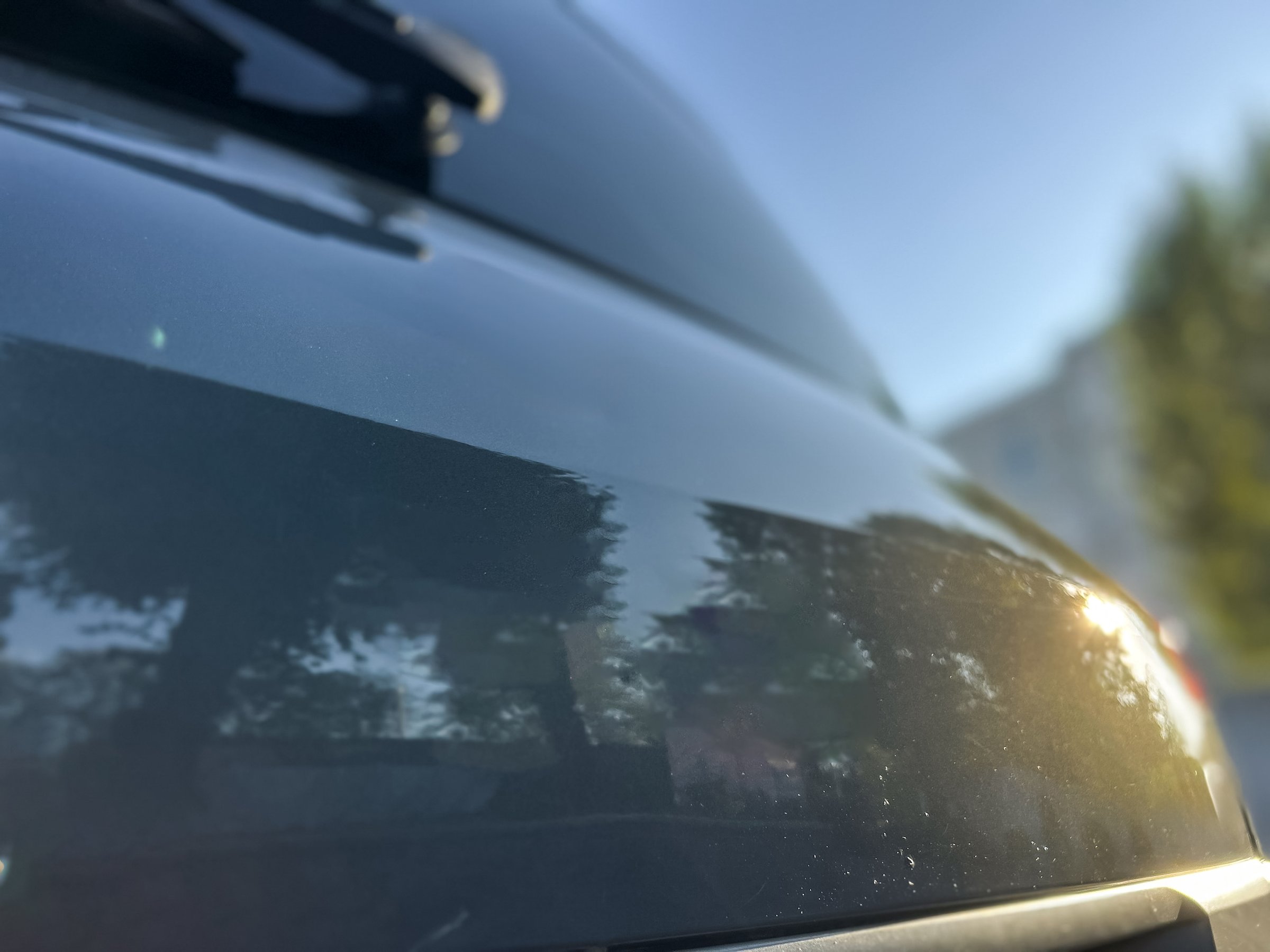 Soft light reflects off the shiny surface of a parked car, surrounded by tall trees in a calm city street during the evening. Nature contrasts with urban life beautifully.