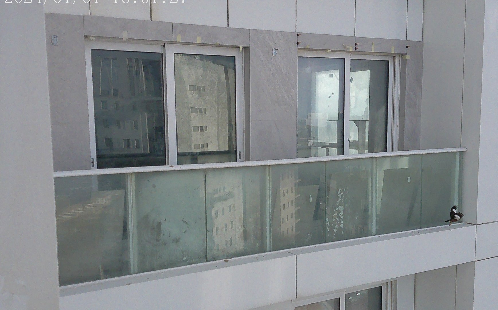 Glass balcony with two sliding doors on a white building exterior; a small bird perched on the railing.