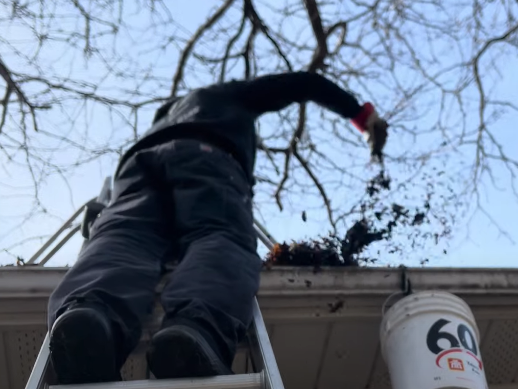 Person on ladder cleaning rain gutter with a red scoop, dropping debris into a nearby white bucket, bare tree branches above.