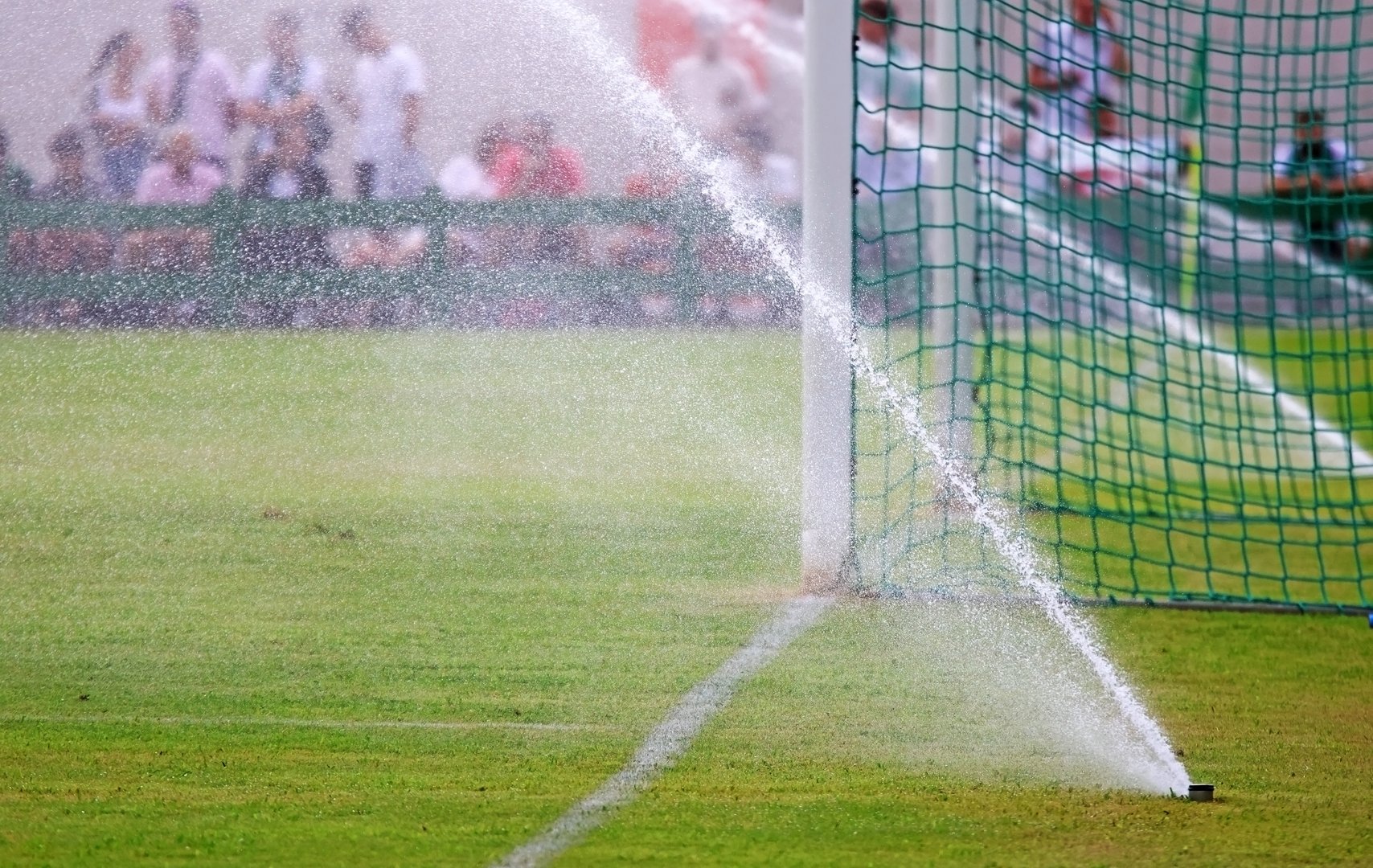 Water sprinklers watering a football or soccer field so that the pitch is in good condition. Space for text