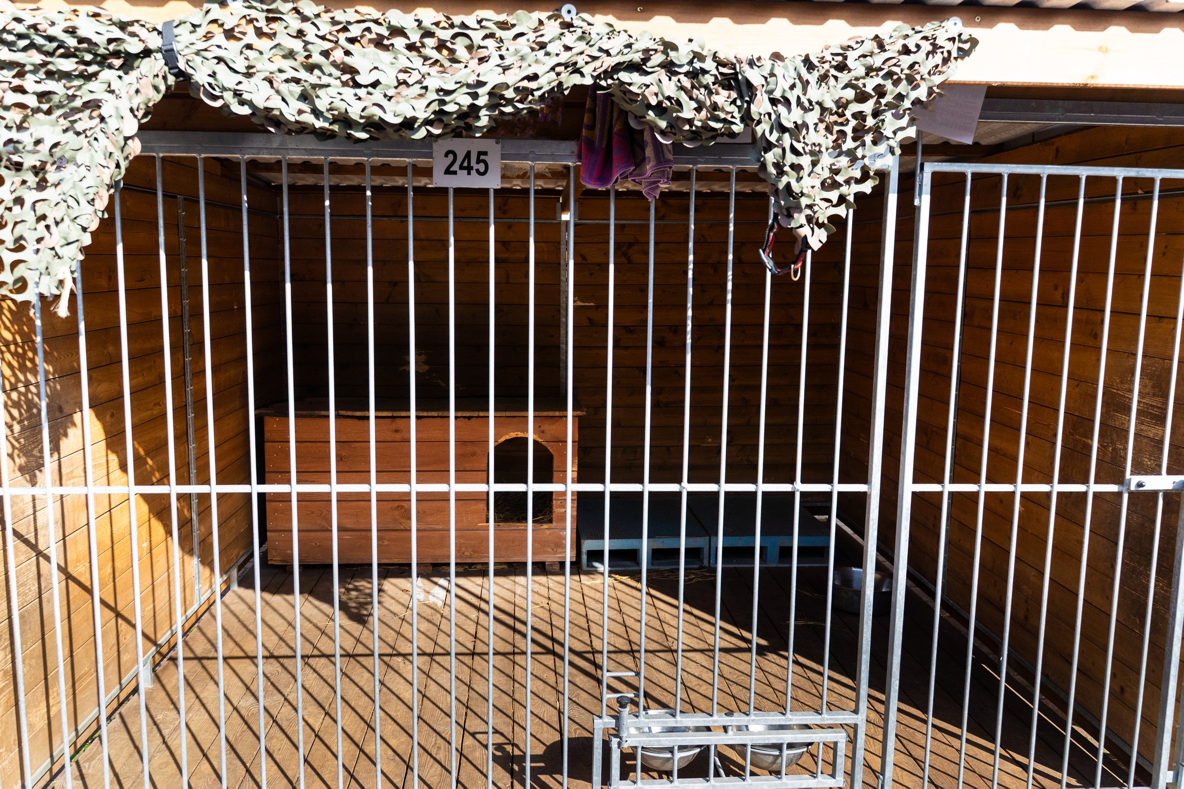 Wooden outdoor kennel for dogs, spacious and secure with metal bars. Large dog shelter with wood walls, metal fence, and cozy sleeping area