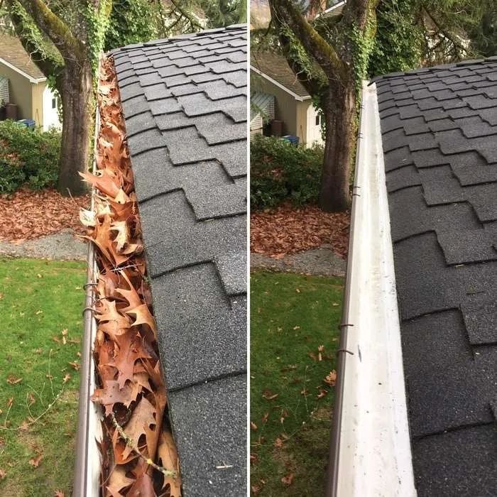 Gutter cleaning service