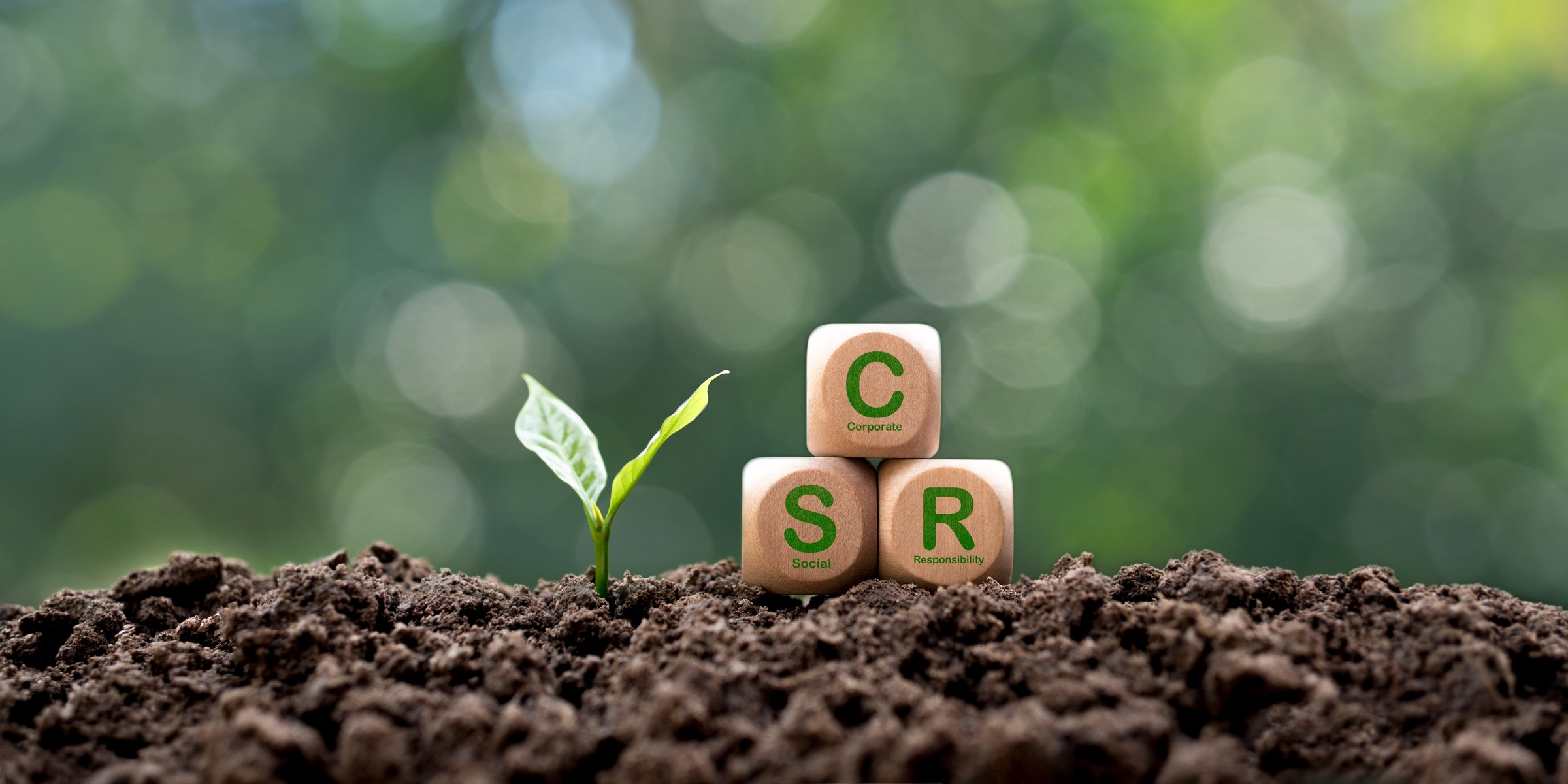 Corporate and community social responsibility concept. Green tree growing with CSR icon on wooden block. Green nature background.