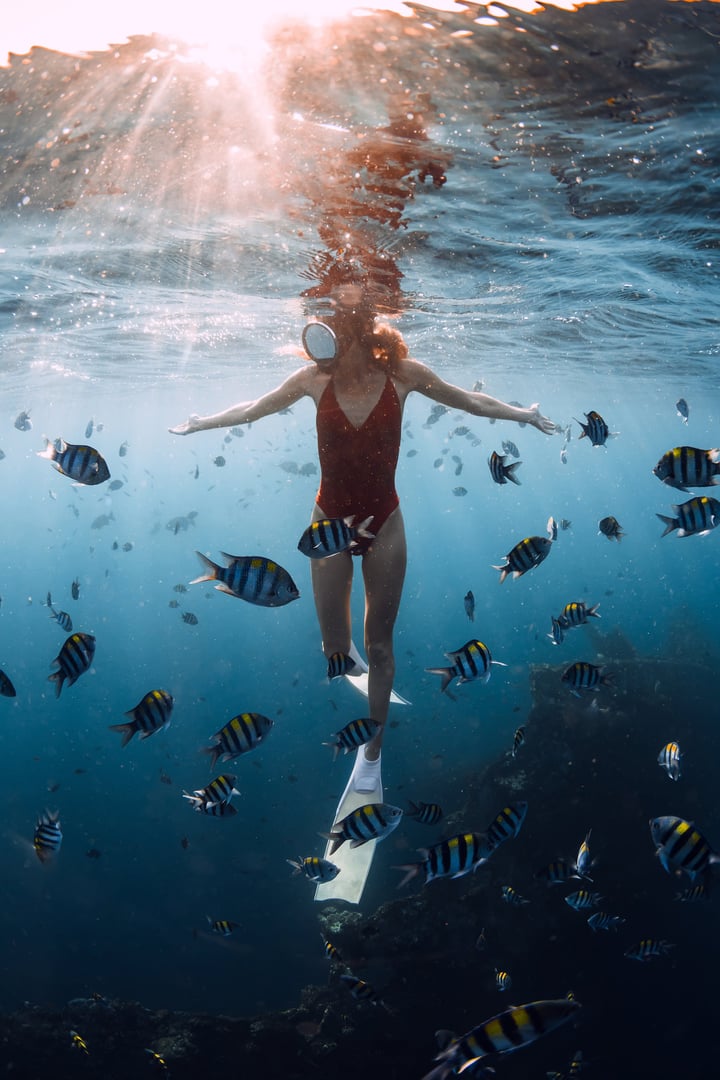 Freediver woman swims with school of tropical fish in blue sea, underwater view. Sexy woman swimming in ocean with sun rays