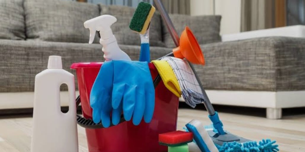 Professional Cleaning Services