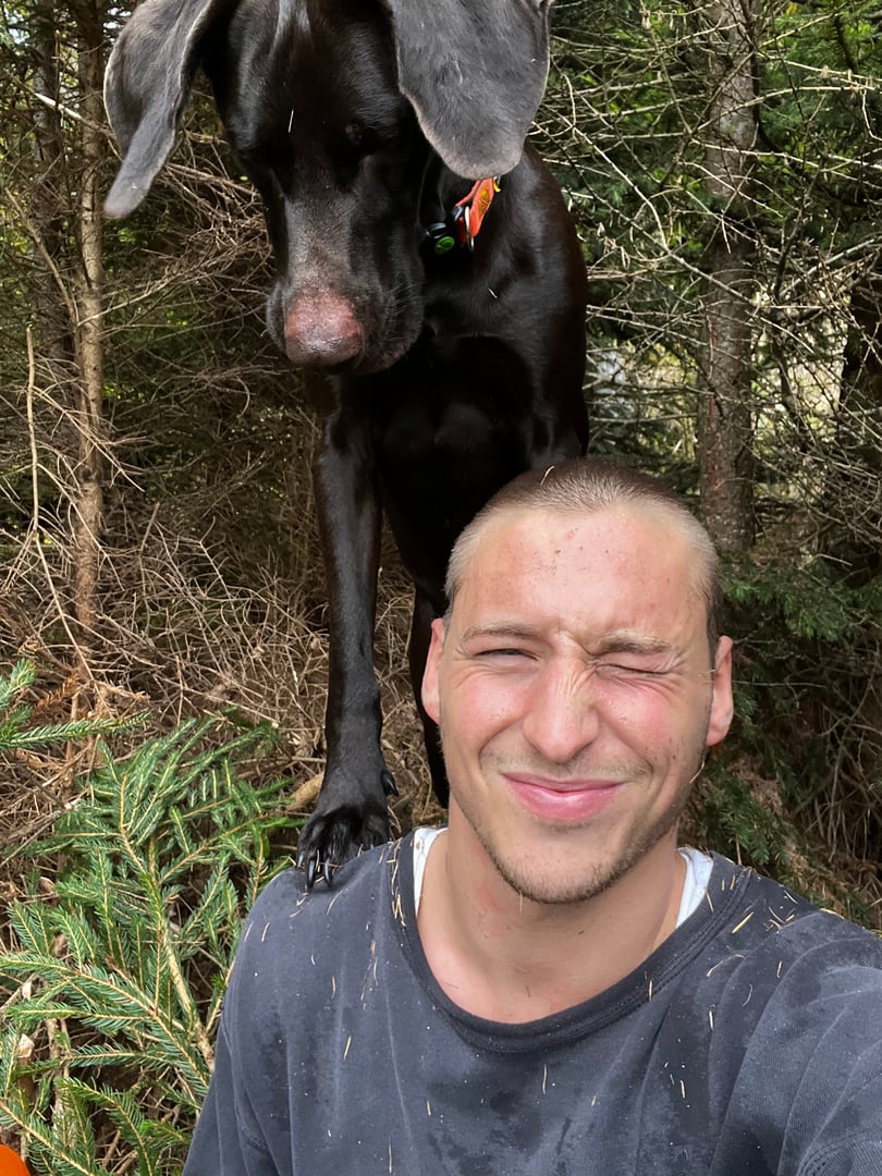 Austrian Handyman work