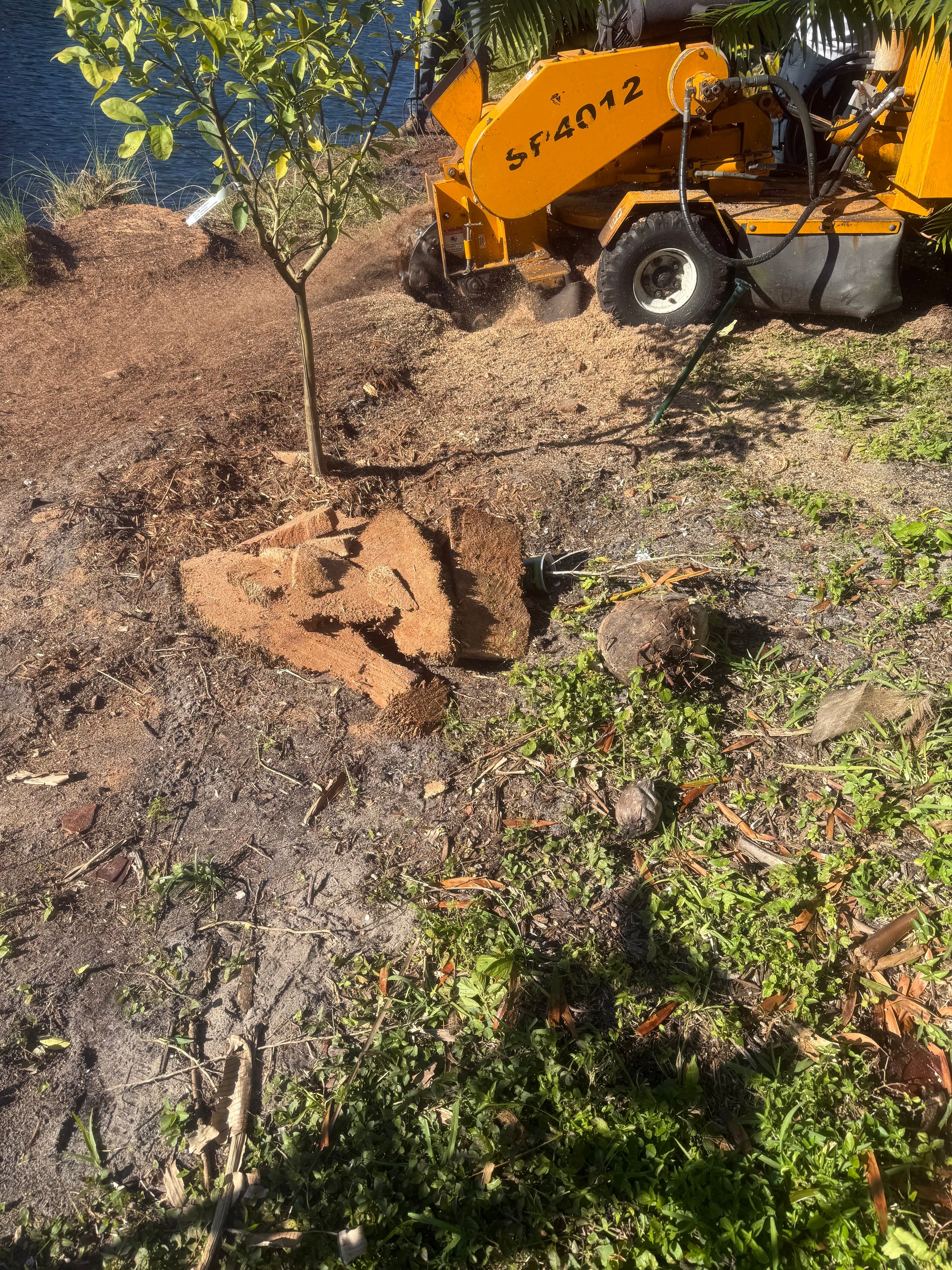 Stump grinding equipment in action