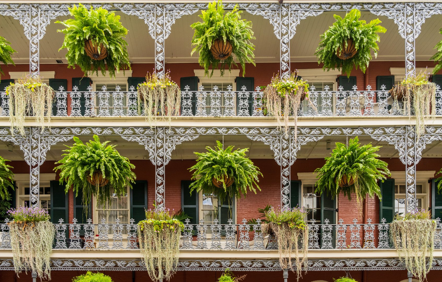 Hanging baskets on tradional New Orleans building on Royal Street in the French Quarter with grey wrought iron balconies