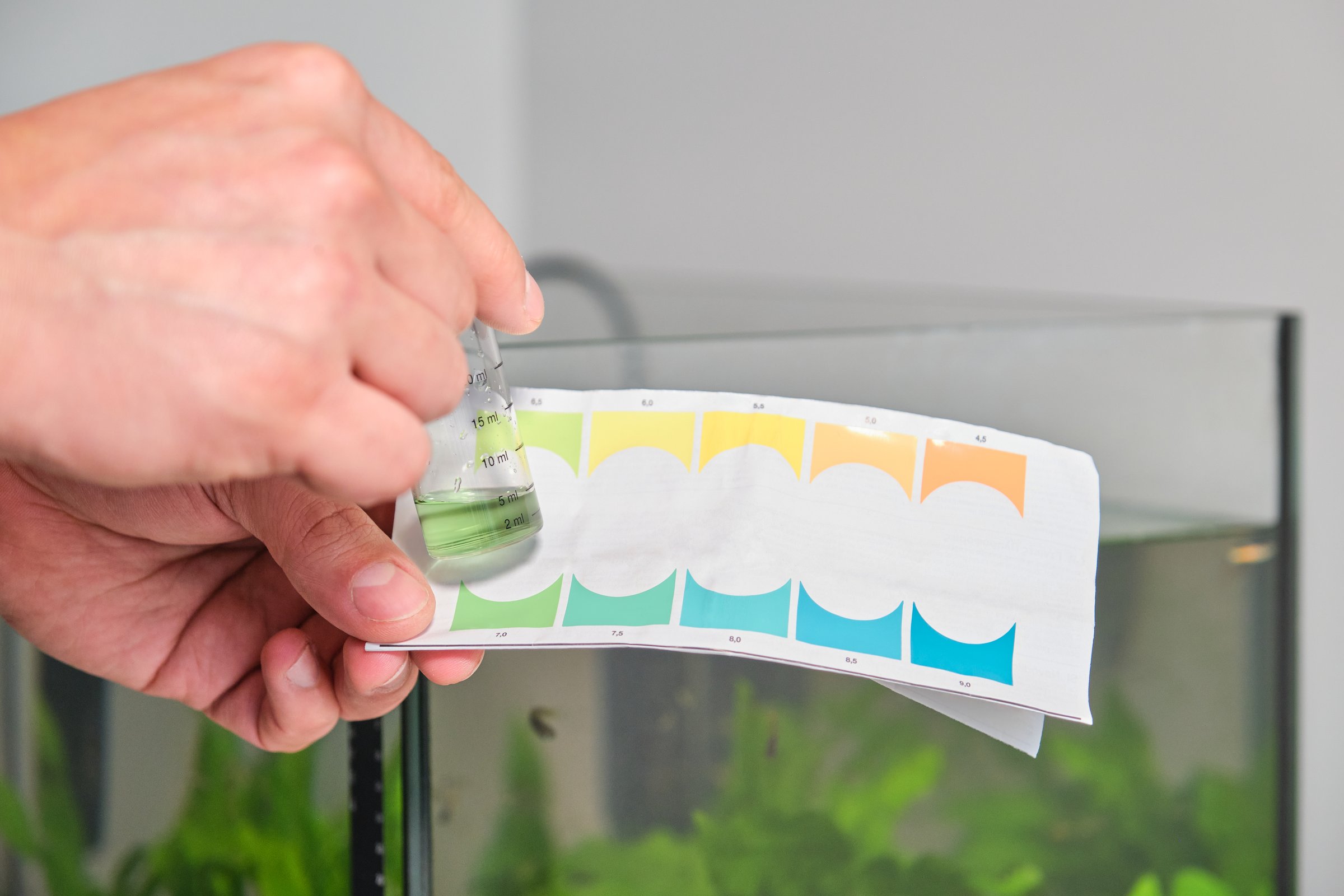 Hands holding neutral pH test in front of freshwater aquarium. Fish tank maintenance.