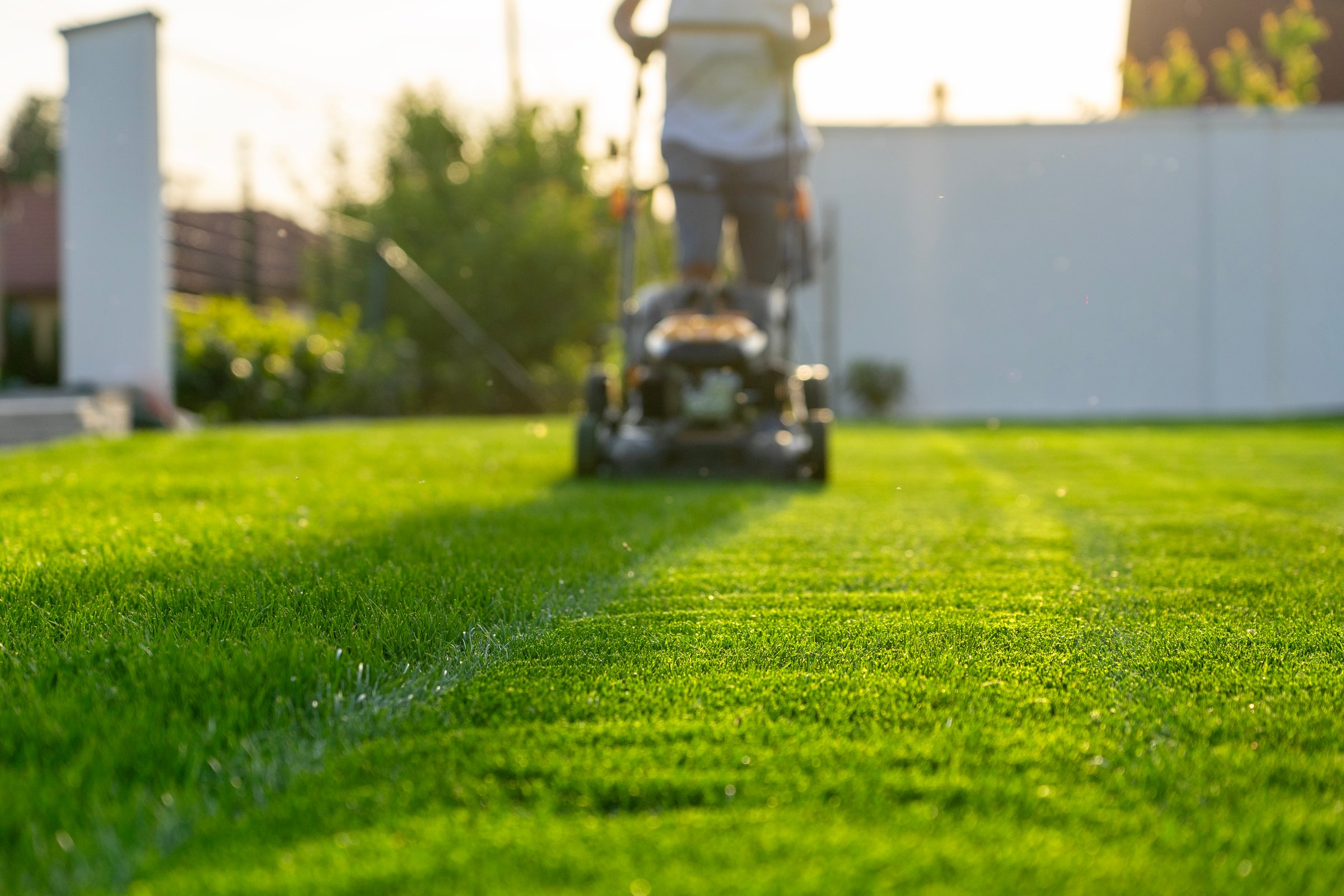 Tonte de gazon professionnelle dans un jardin résidentiel - Uasheshkun Services Extérieurs