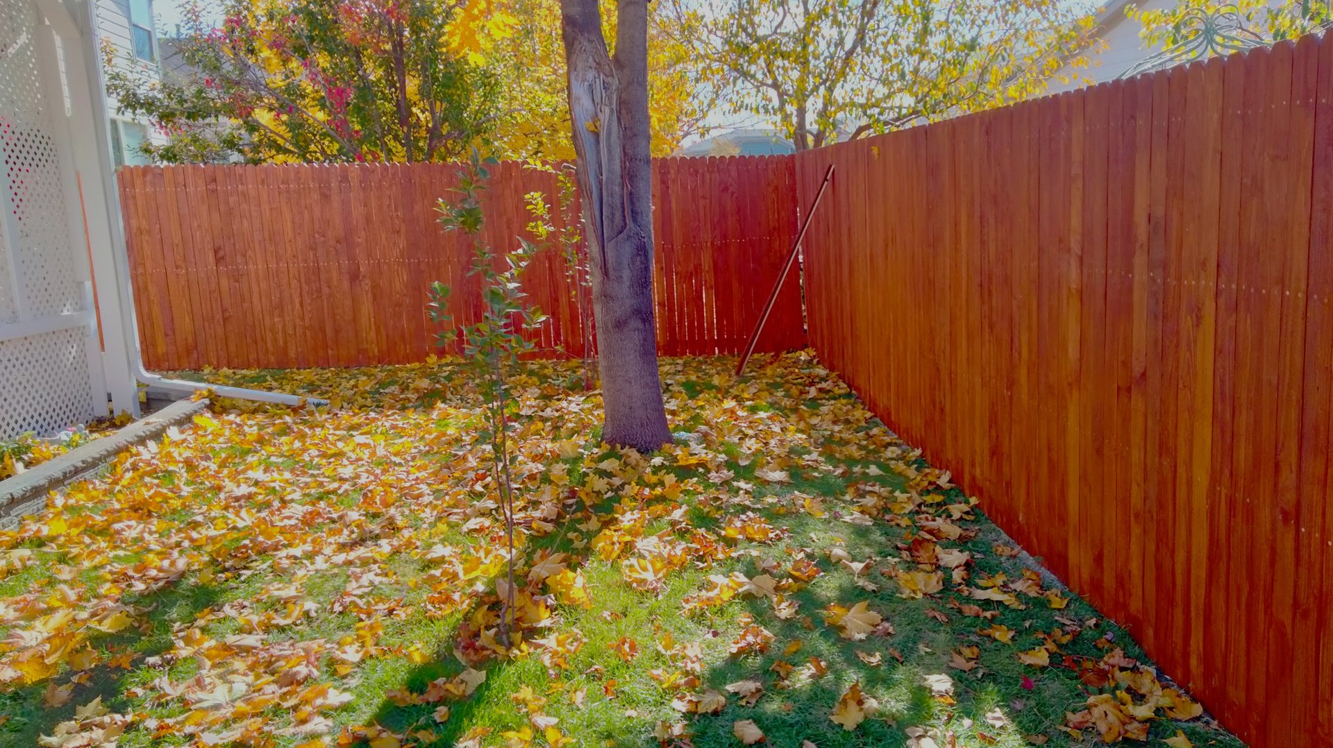 Cleanup and maintenance project