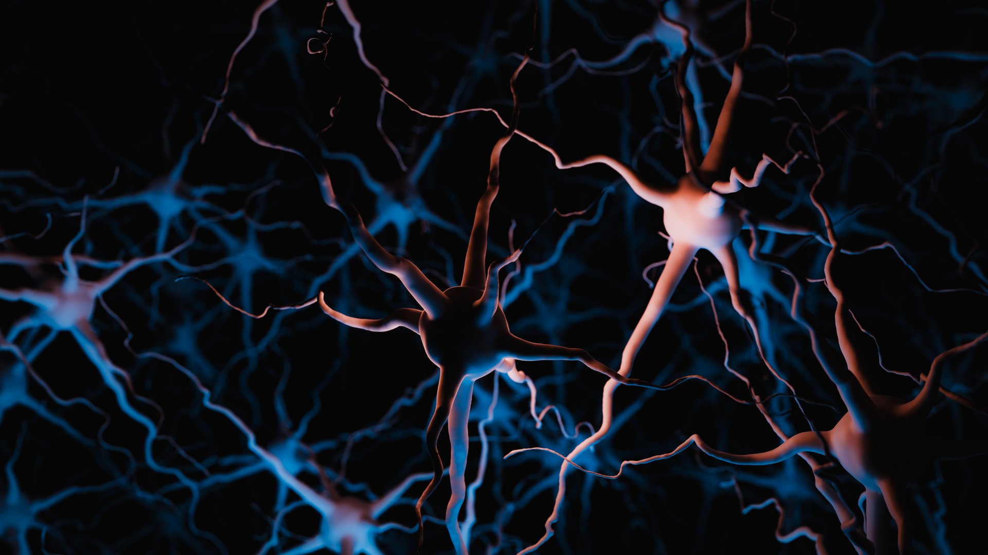 Brain Neurons Network Synapse Connection Neuroscience Science. 3d rendering