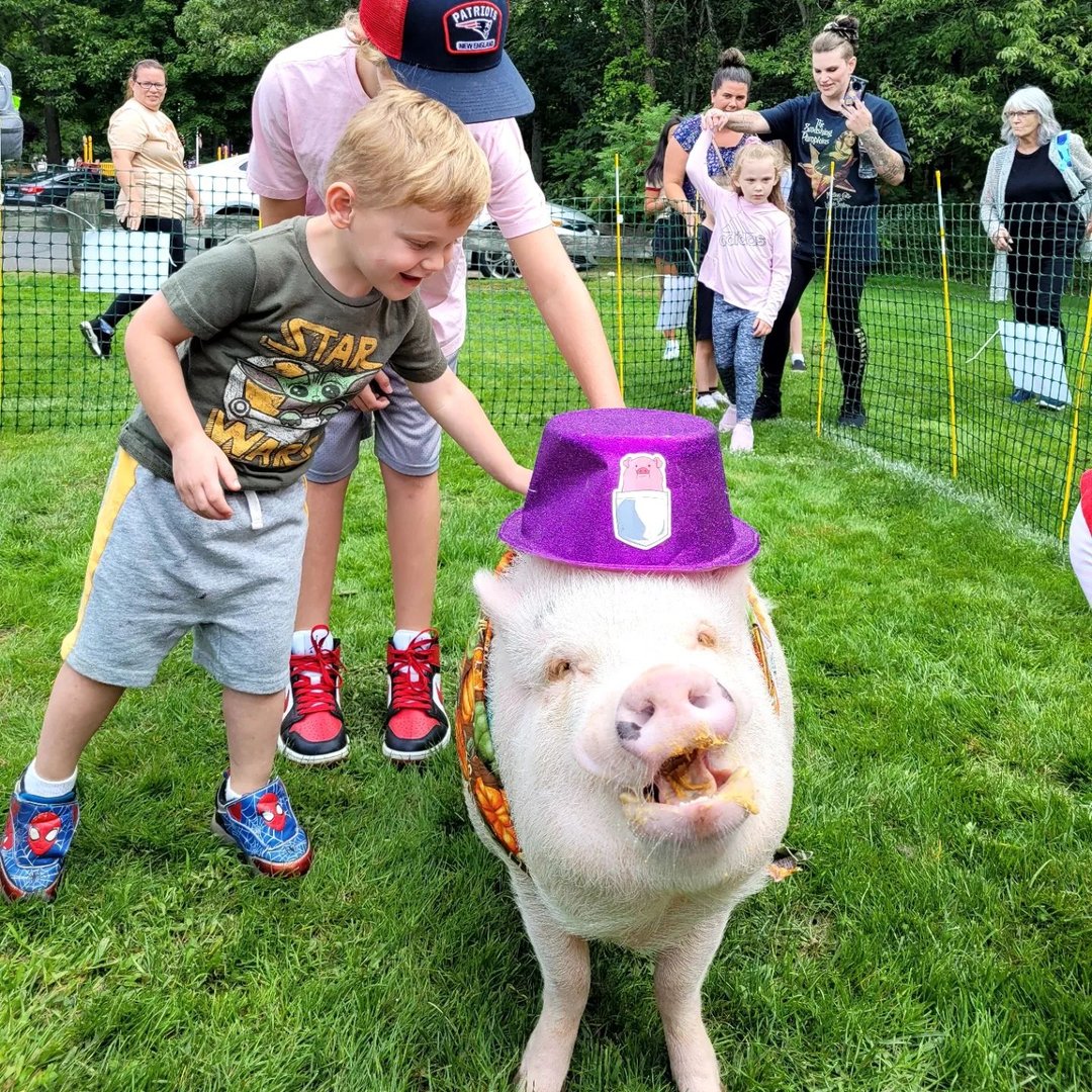Gilbert the Party Pig