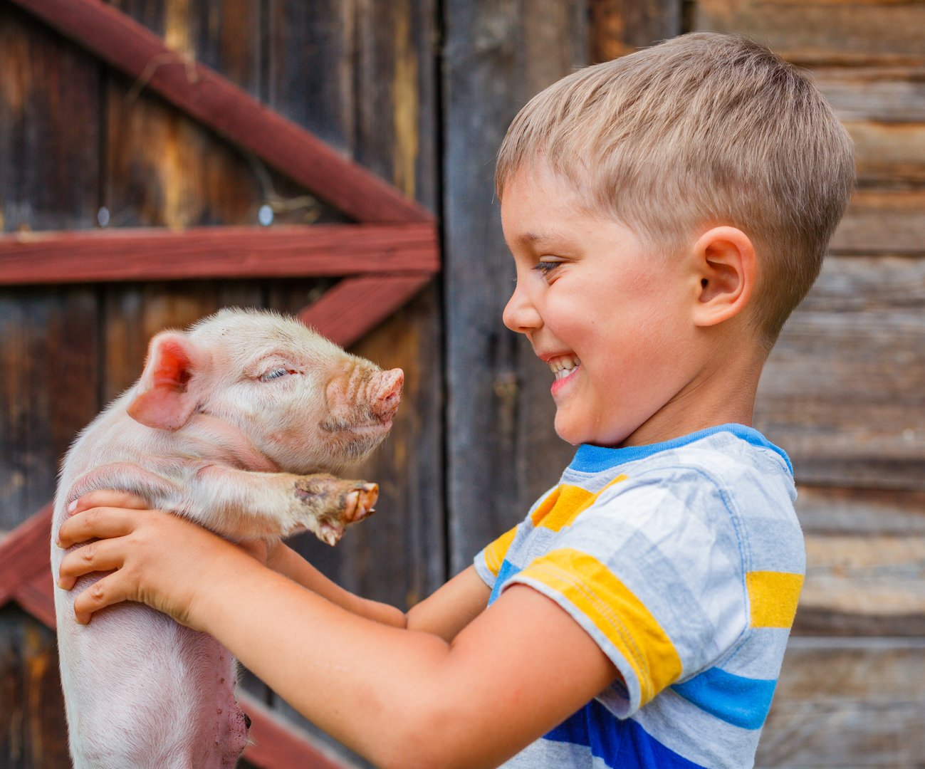 Children playing with pig at birthday party